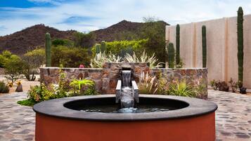 A circular stone fountain with water spouting from the center, surrounded by a variety of desert plants and cacti.