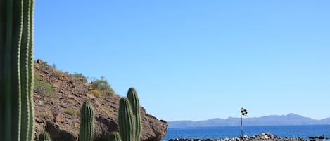 A golf course with cacti in the foreground, a rocky hillside, and a view of the ocean and mountains in the background.