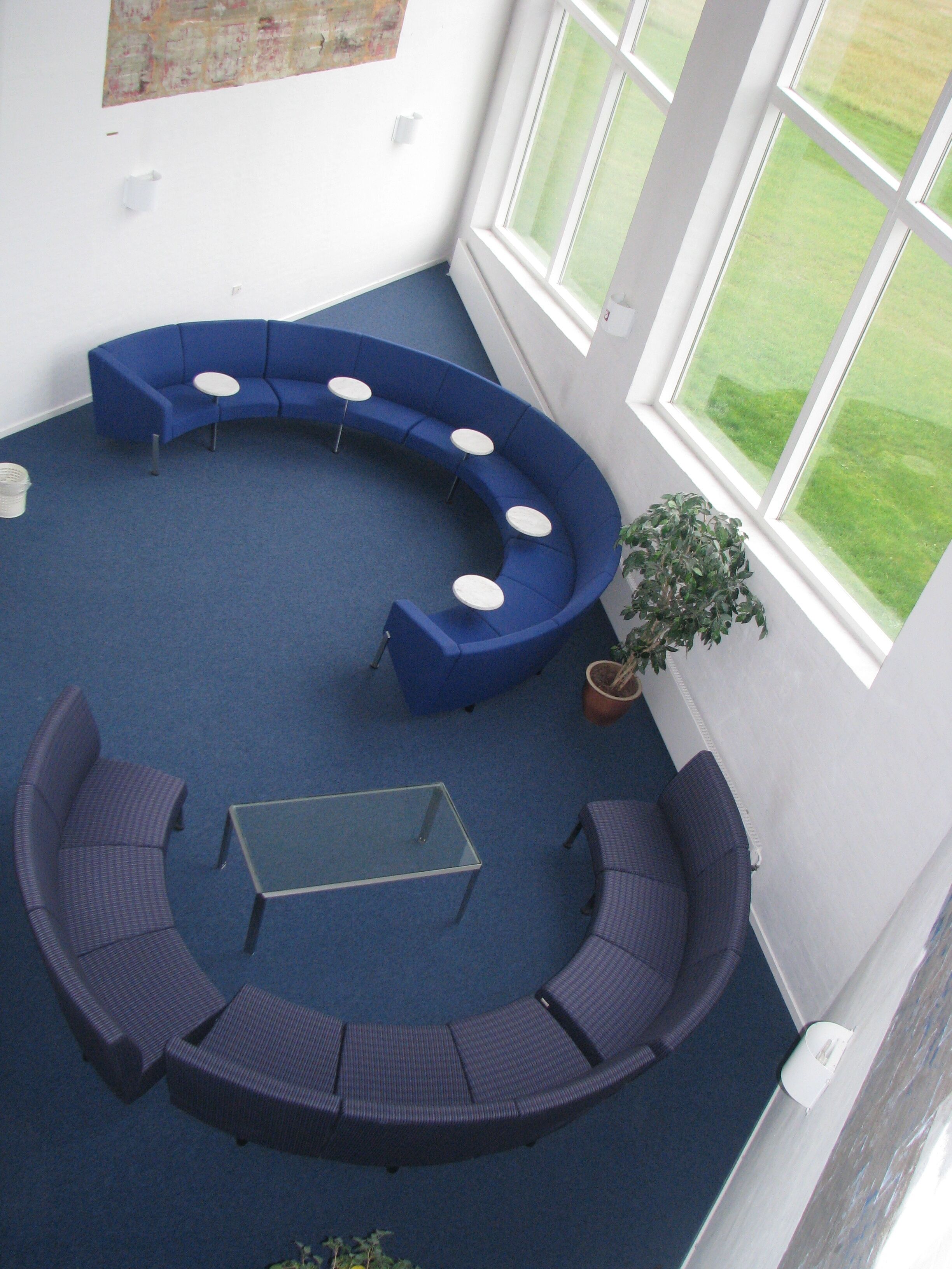 A circular blue sofa arrangement with a glass table, a potted plant, and a view of a green lawn through large windows.