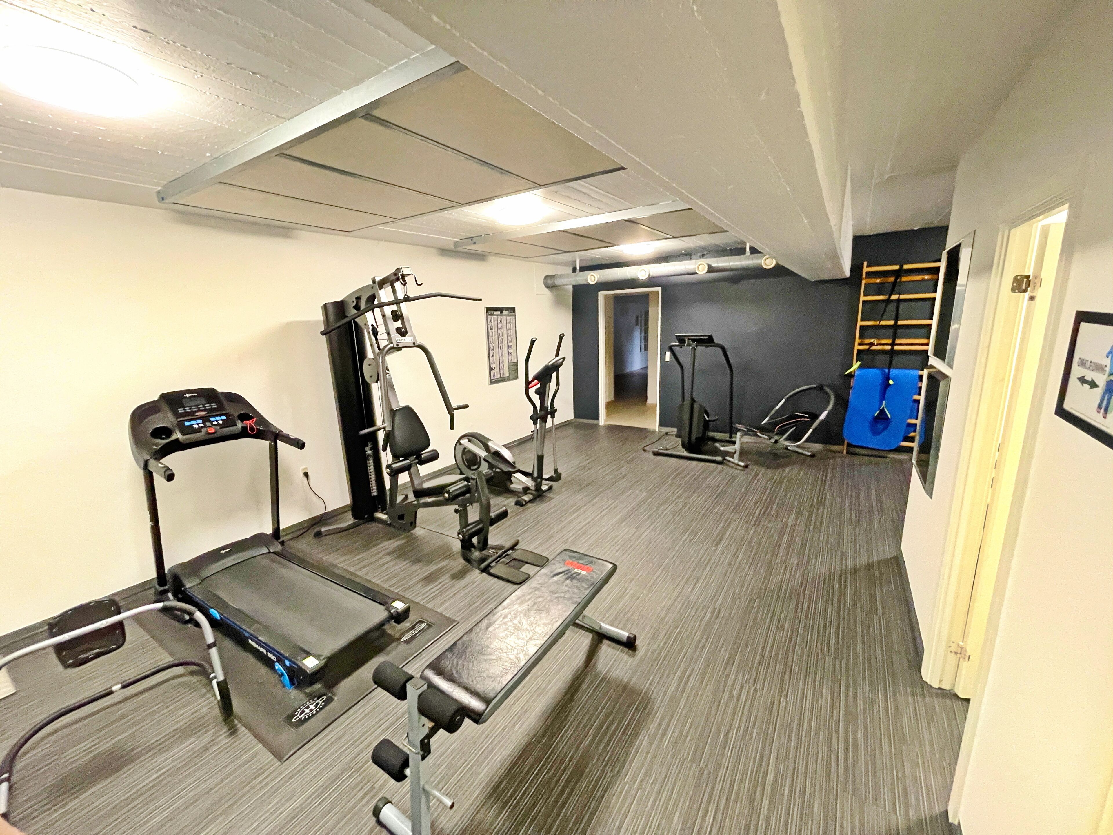 A gym with cardio machines, weight training equipment, and a blue exercise ball.