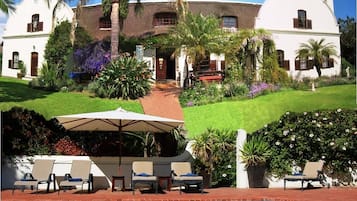 Outdoor pool, pool umbrellas, pool loungers