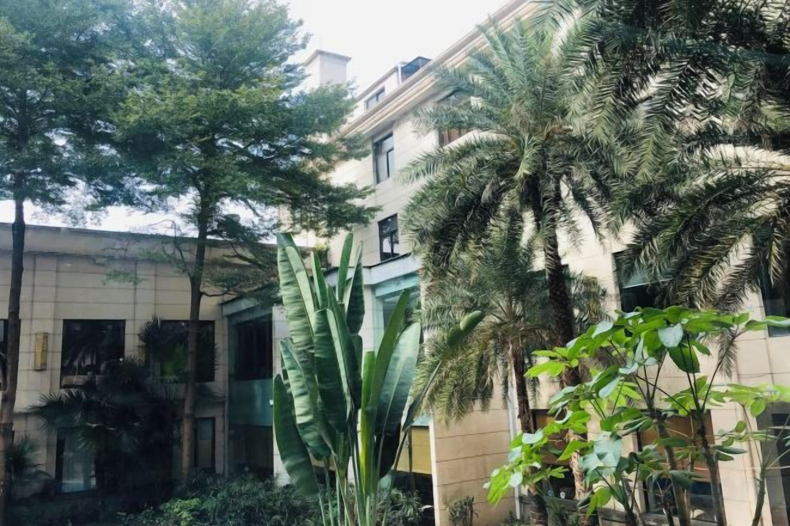 Un patio con palmeras, un edificio con balcón y un ventanal grande.