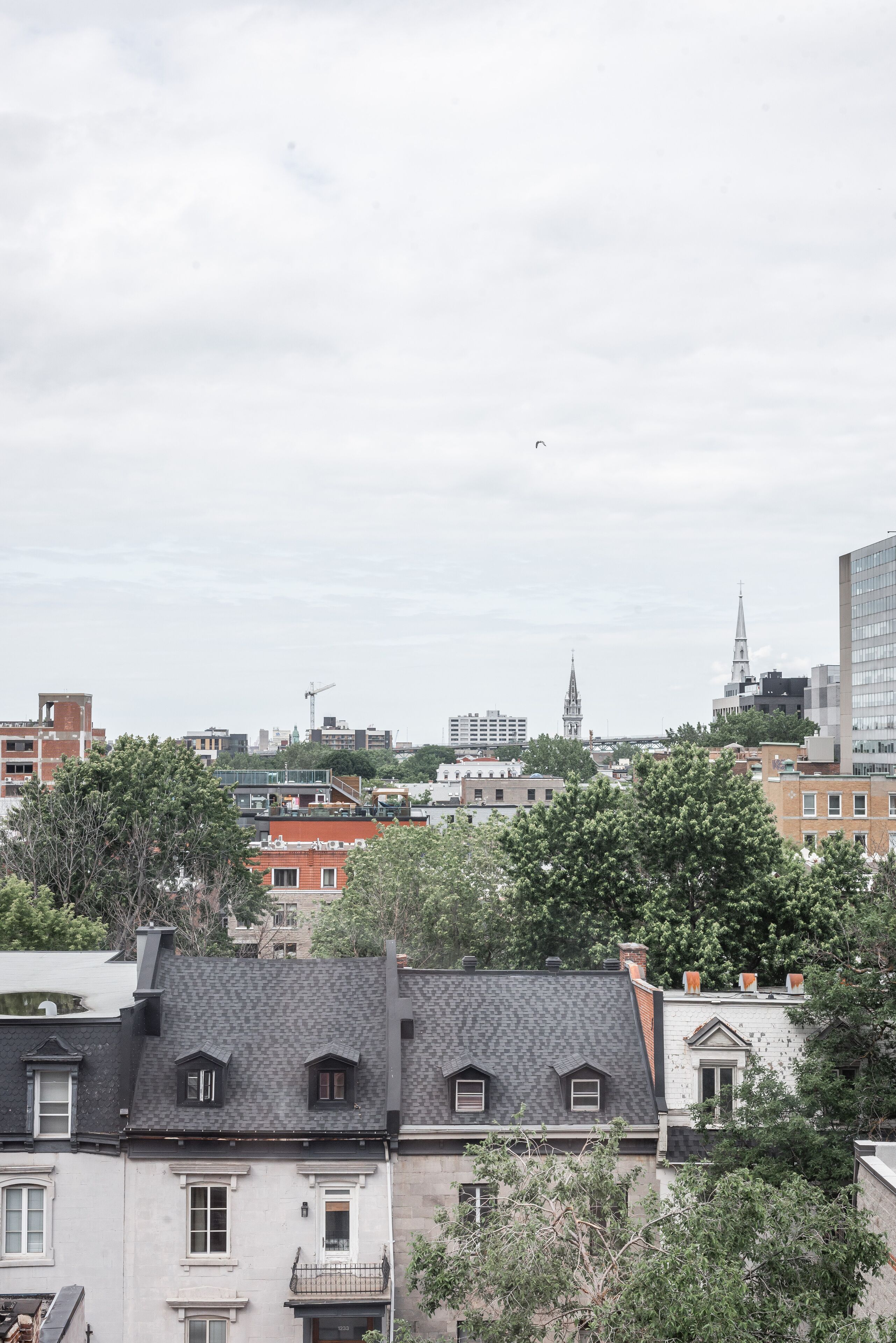 A cityscape with a mix of residential and commercial buildings, including a prominent church spire.