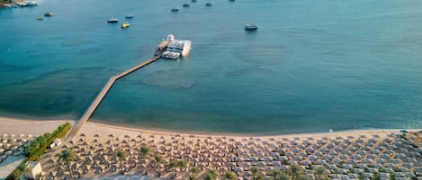 Camastros, toallas de playa, vóleibol de playa y bar en la playa 