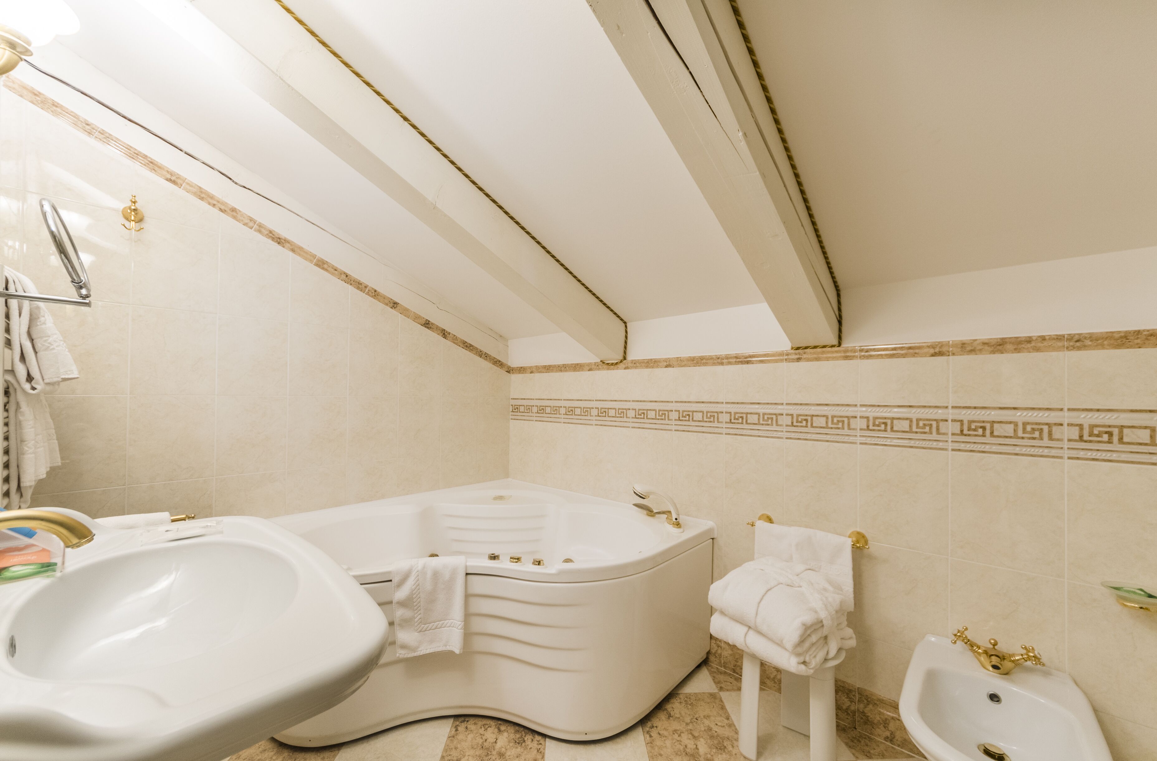 combined shower/bathtub, free toiletries, hair dryer, bidet