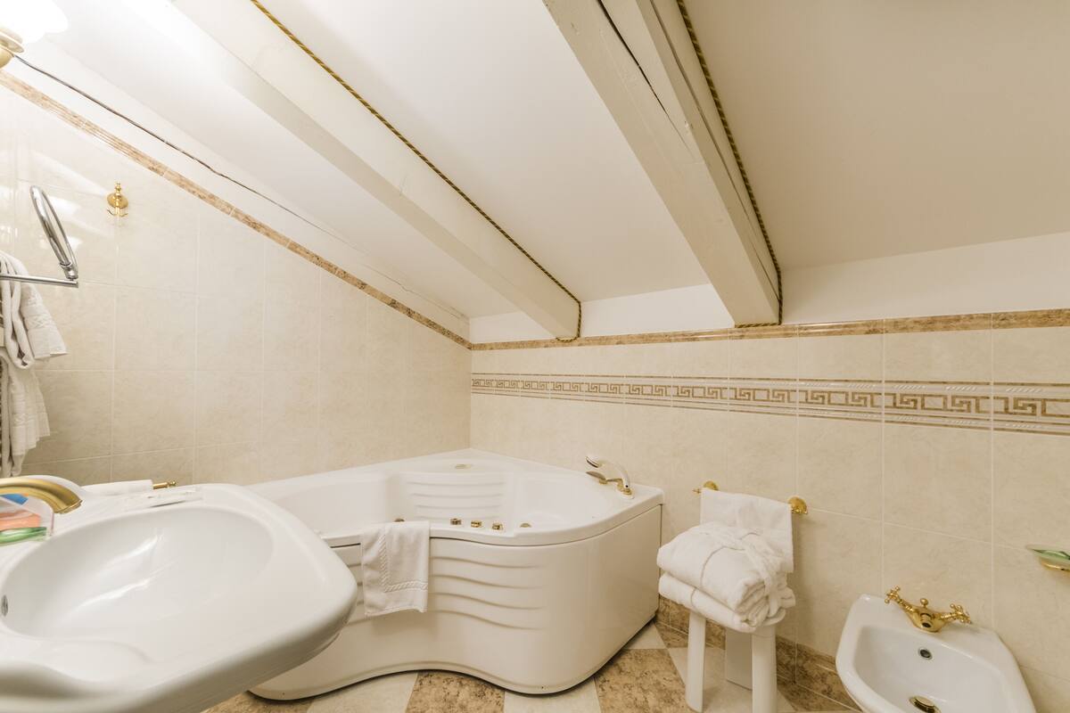 combined shower/bathtub, free toiletries, hair dryer, bidet