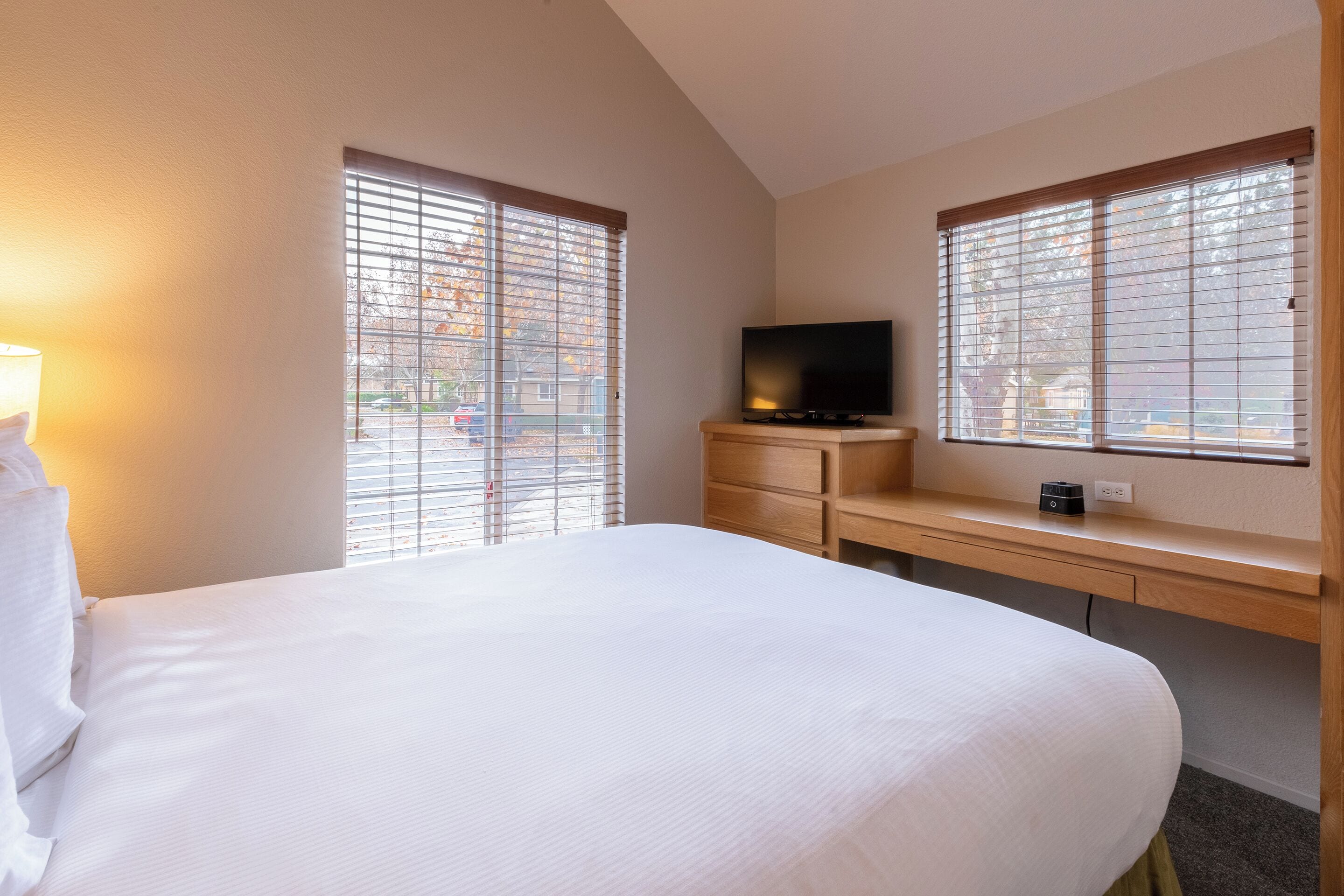 A hotel room with a large bed, a TV on a wooden shelf, and two windows with blinds.