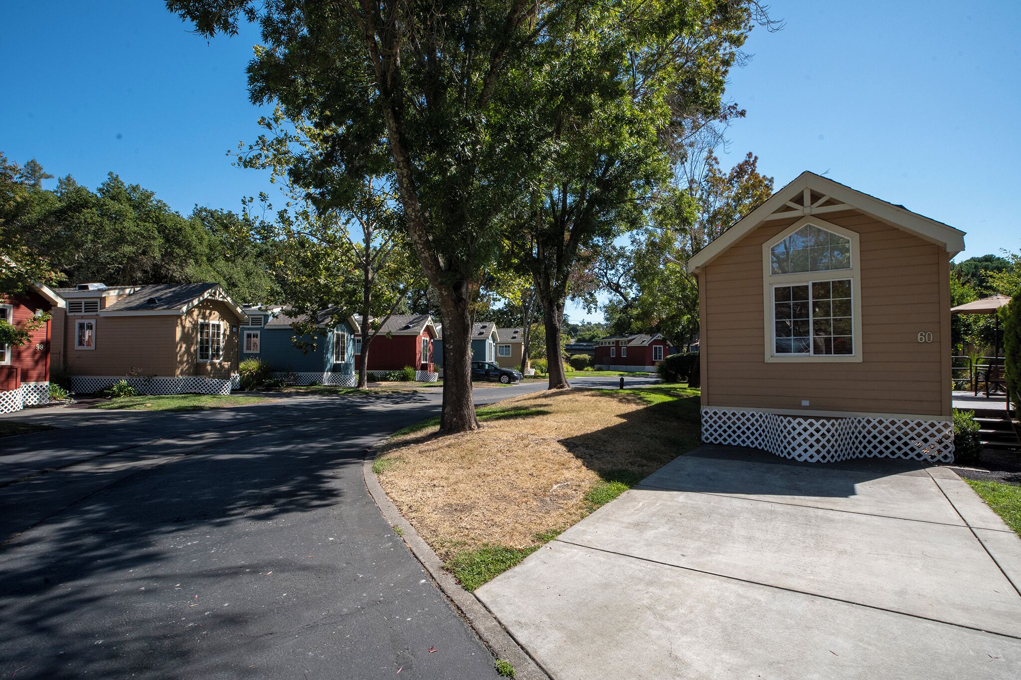 Une rangée de maisons de plain-pied, avec un arbre au centre, un trottoir et un ciel dégagé.