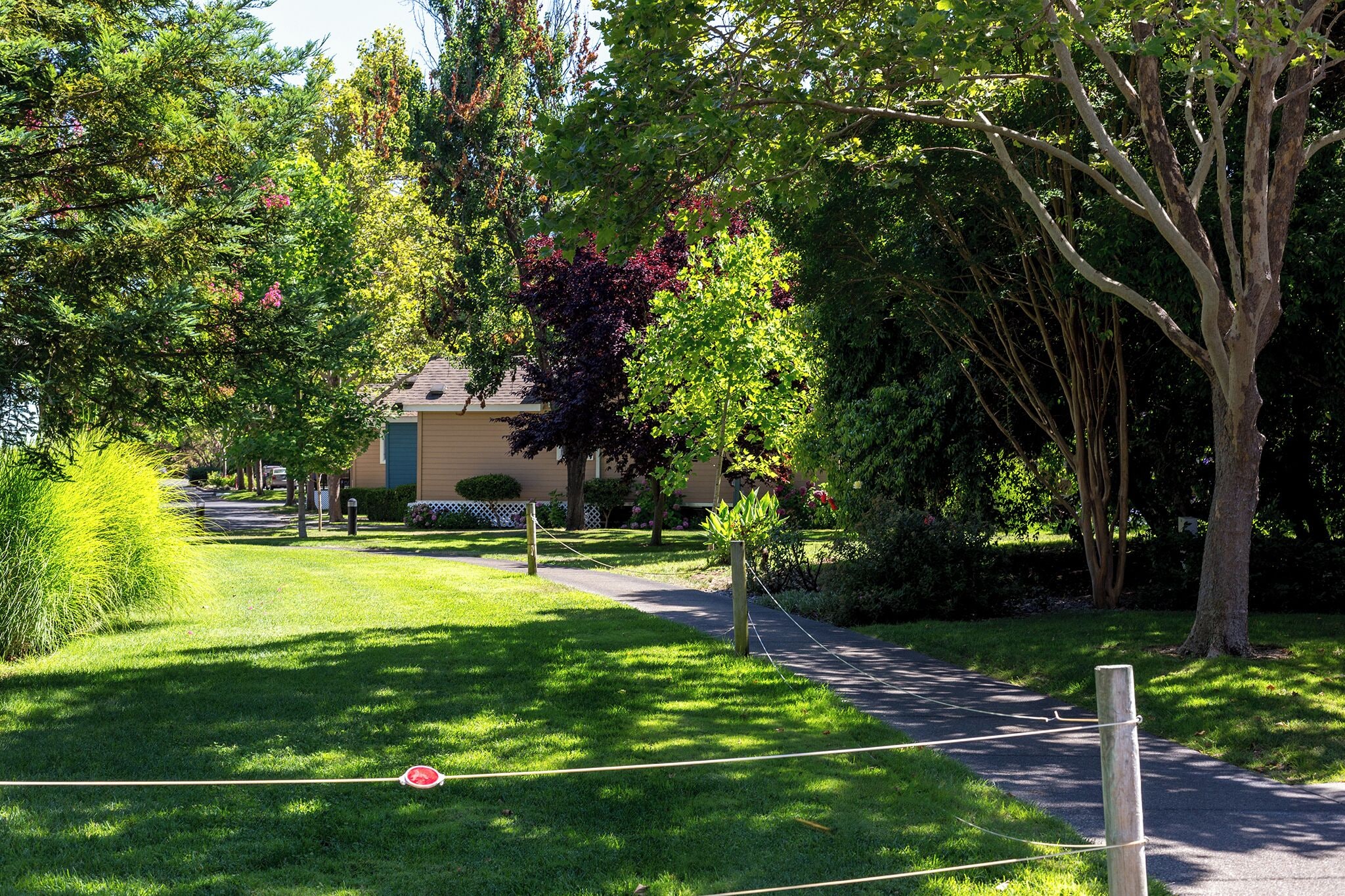 A pathway leading to a building surrounded by lush greenery and trees.
