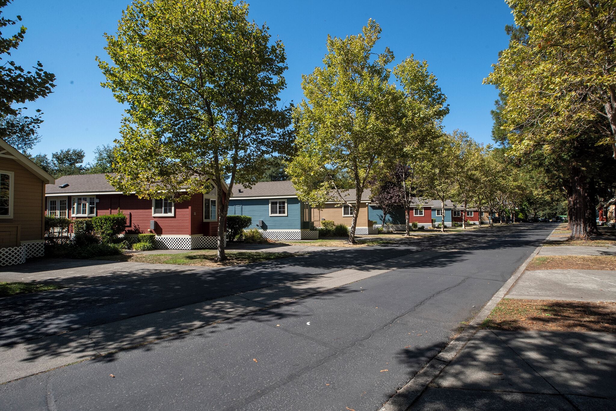 Une rue résidentielle bordée de maisons et d’arbres, avec un ciel dégagé.