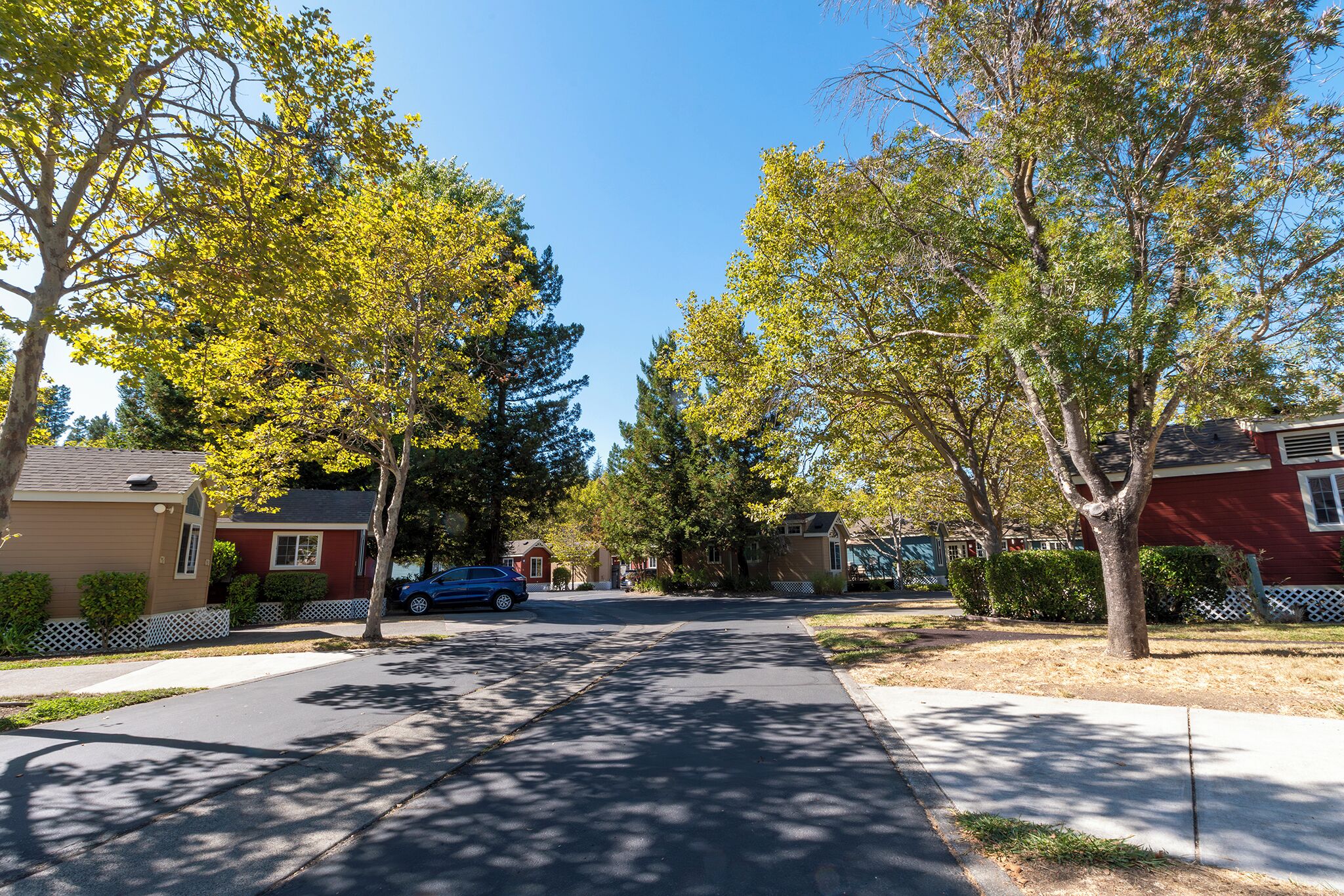 A residential street with houses, trees, and a blue car parked on the side.