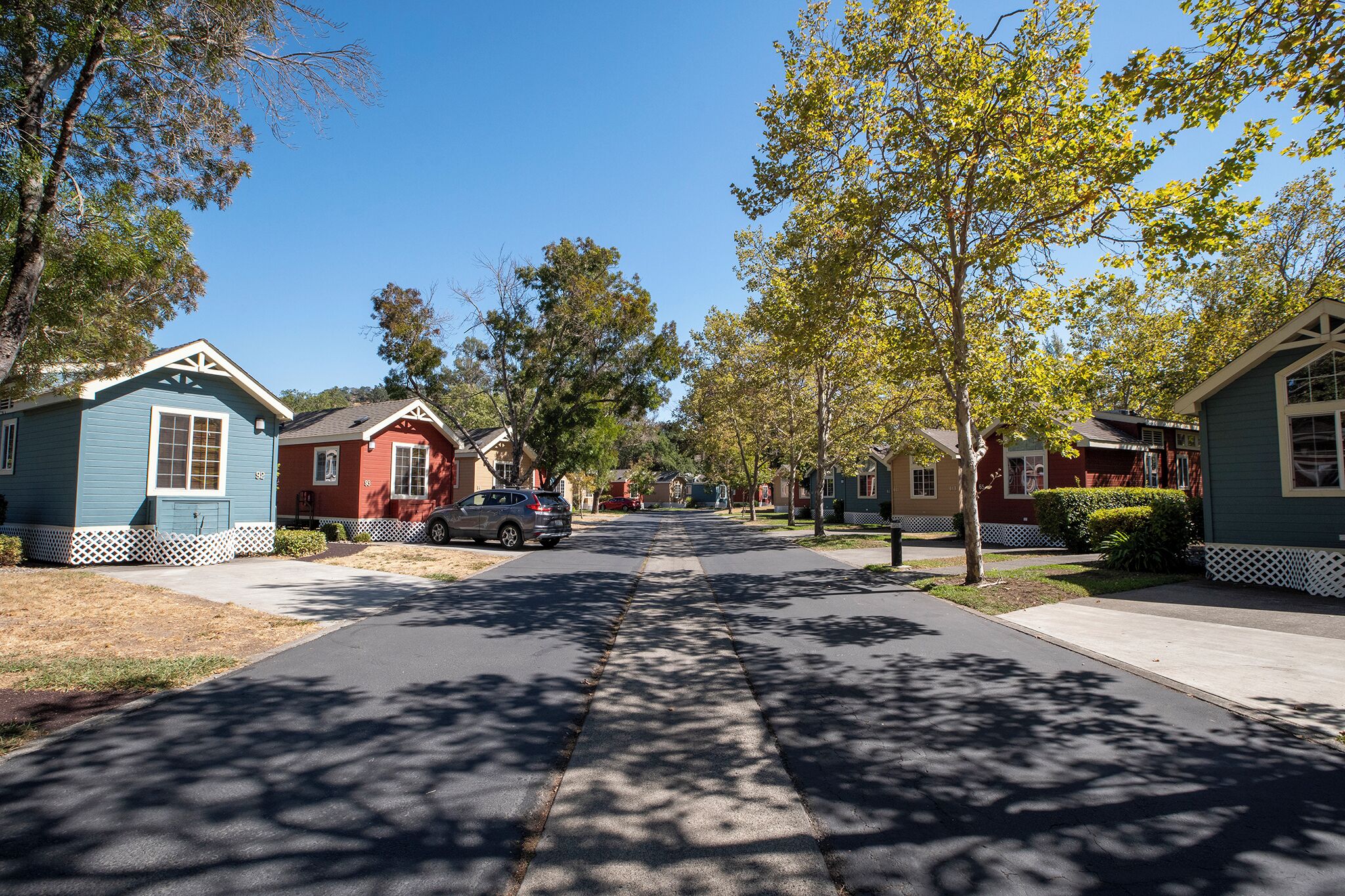A quiet residential street lined with single-family homes, featuring a clear sky and shadows cast by trees.