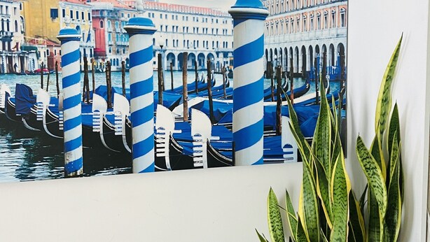 A painting of a canal scene with gondolas and buildings, a striped column, and a potted plant. - Hotel San Carlo (Mestre)