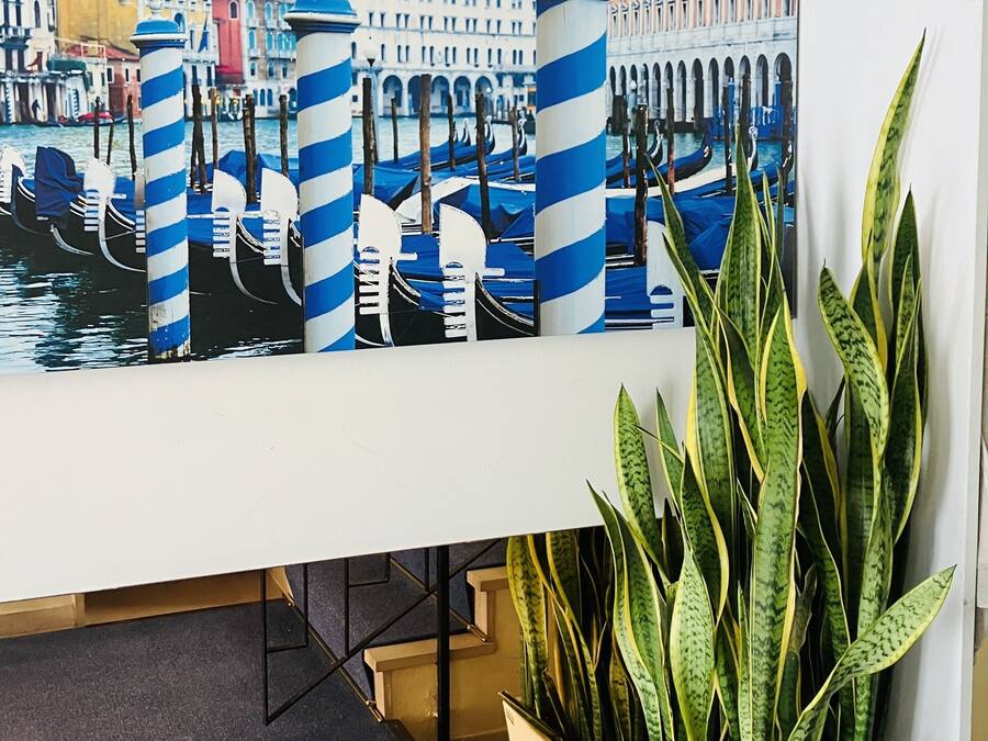 Detalhe da parte interna