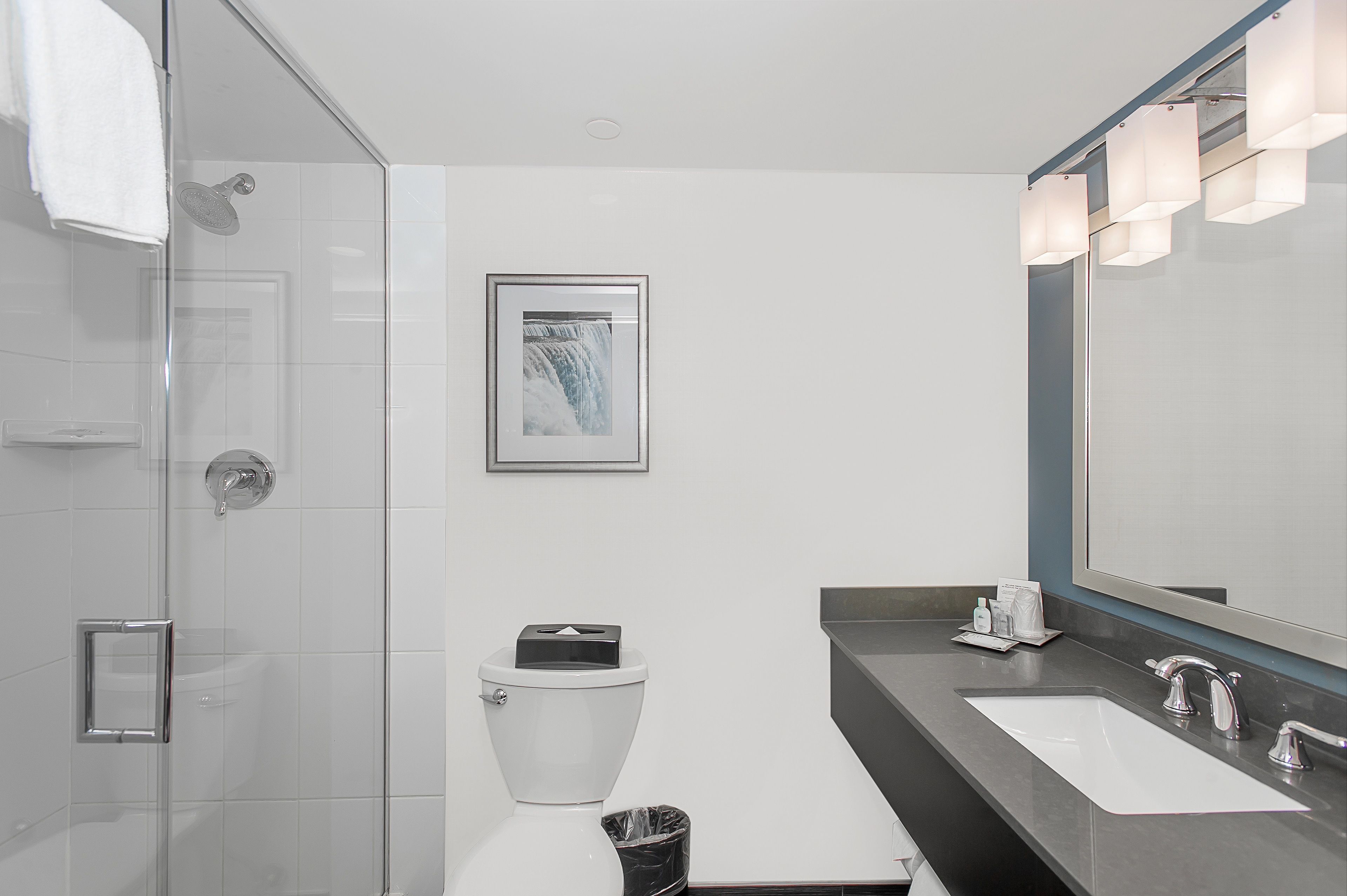 A modern bathroom with a glass shower enclosure, a white toilet, a sink with a mirror, and a framed picture on the wall.