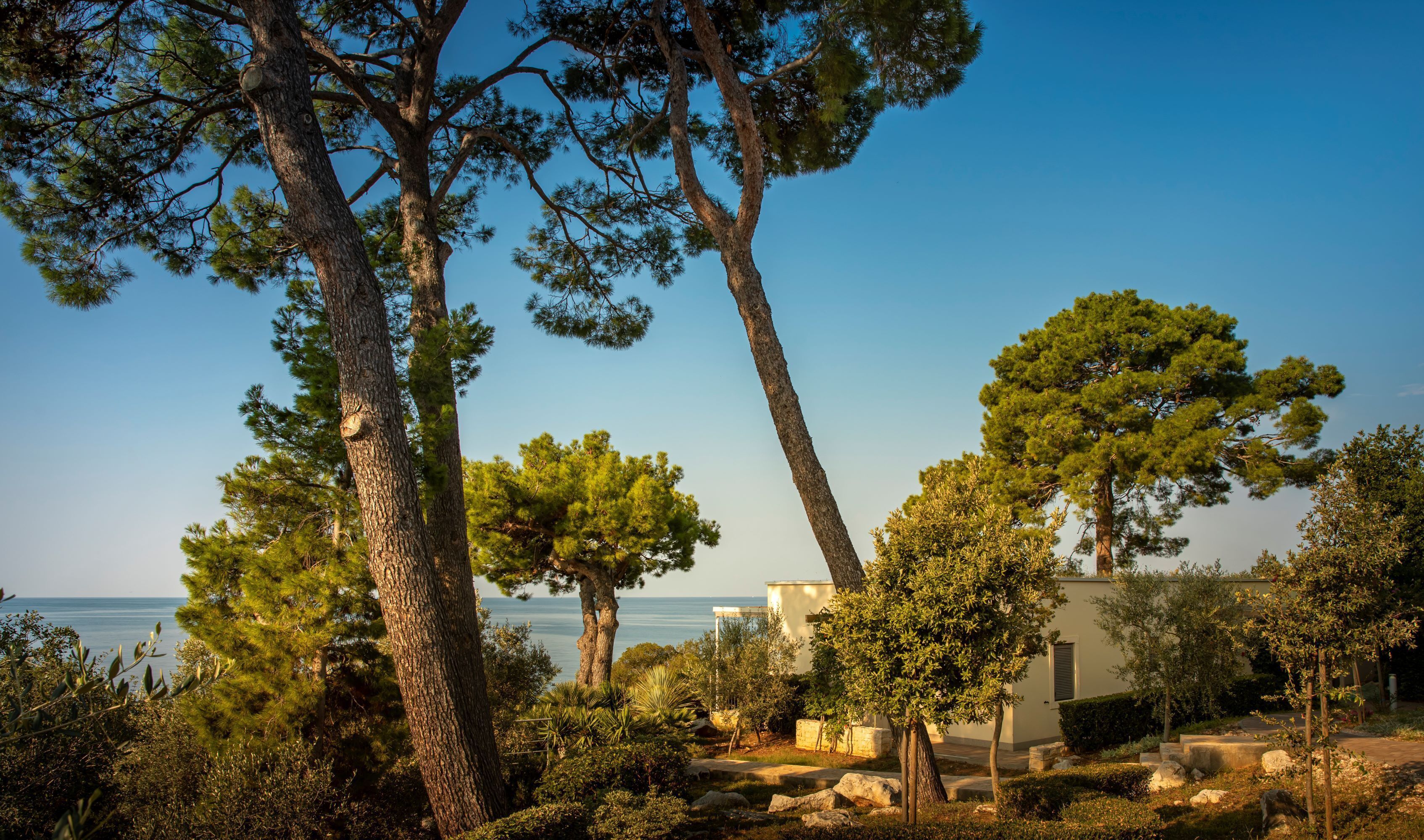 Foto - Isabella Island Hotel & Villas