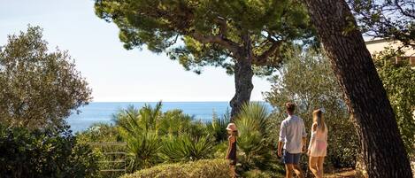 A pathway with a view of the sea, surrounded by trees and greenery.
