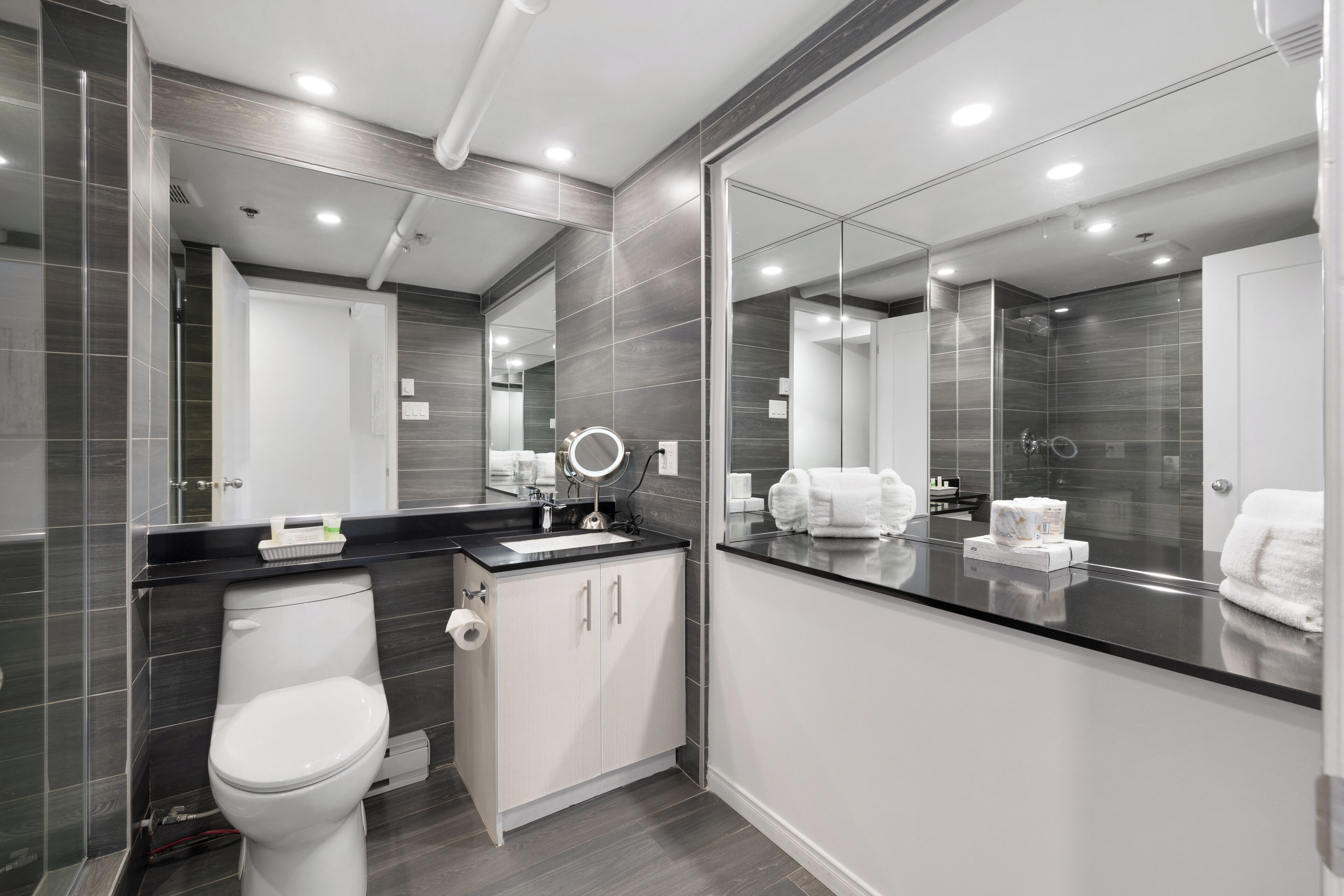 A modern bathroom with a toilet, sink, and large mirror.