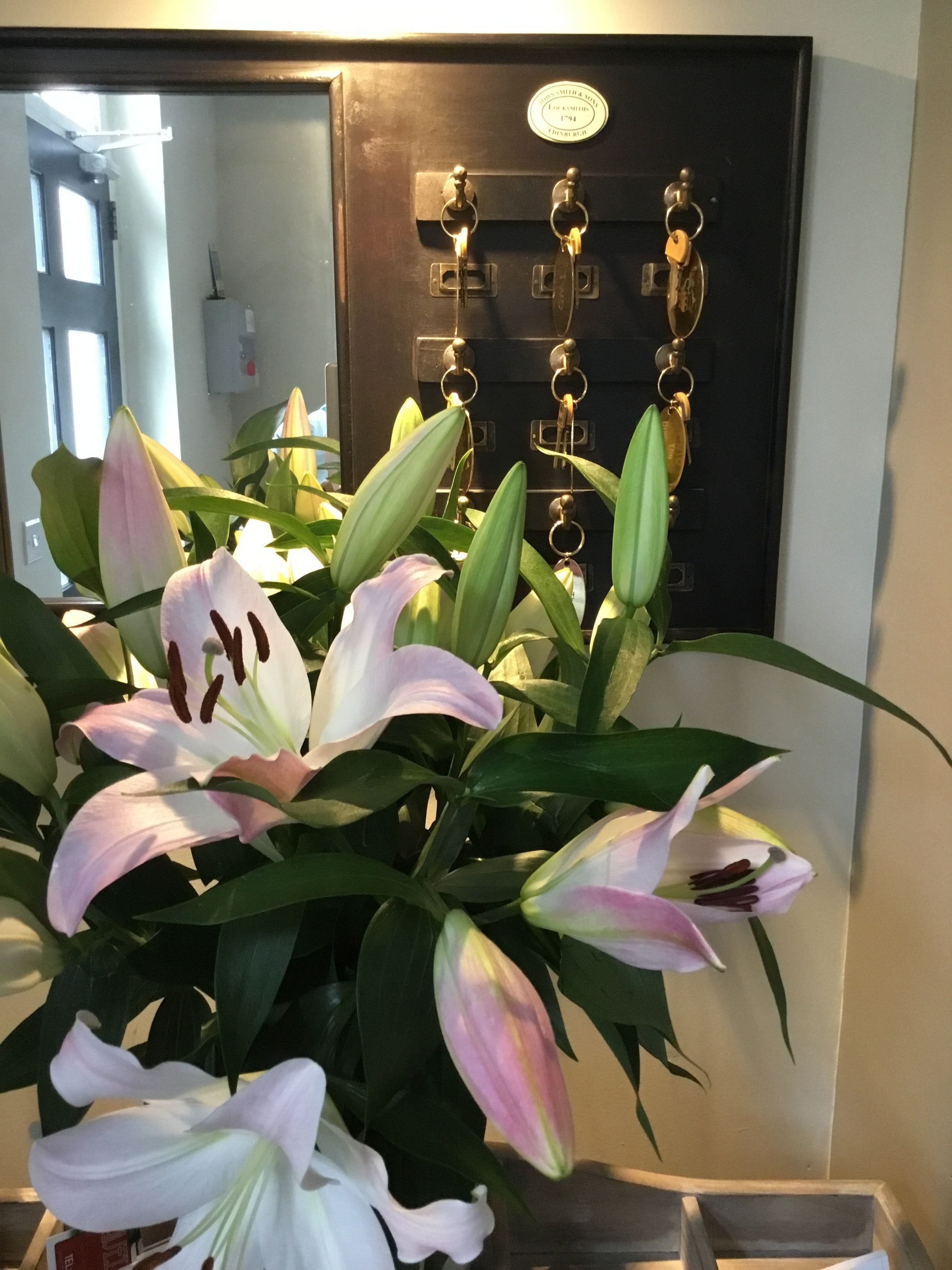 A potted plant with lilies in front of a door with a key lock and a plaque.