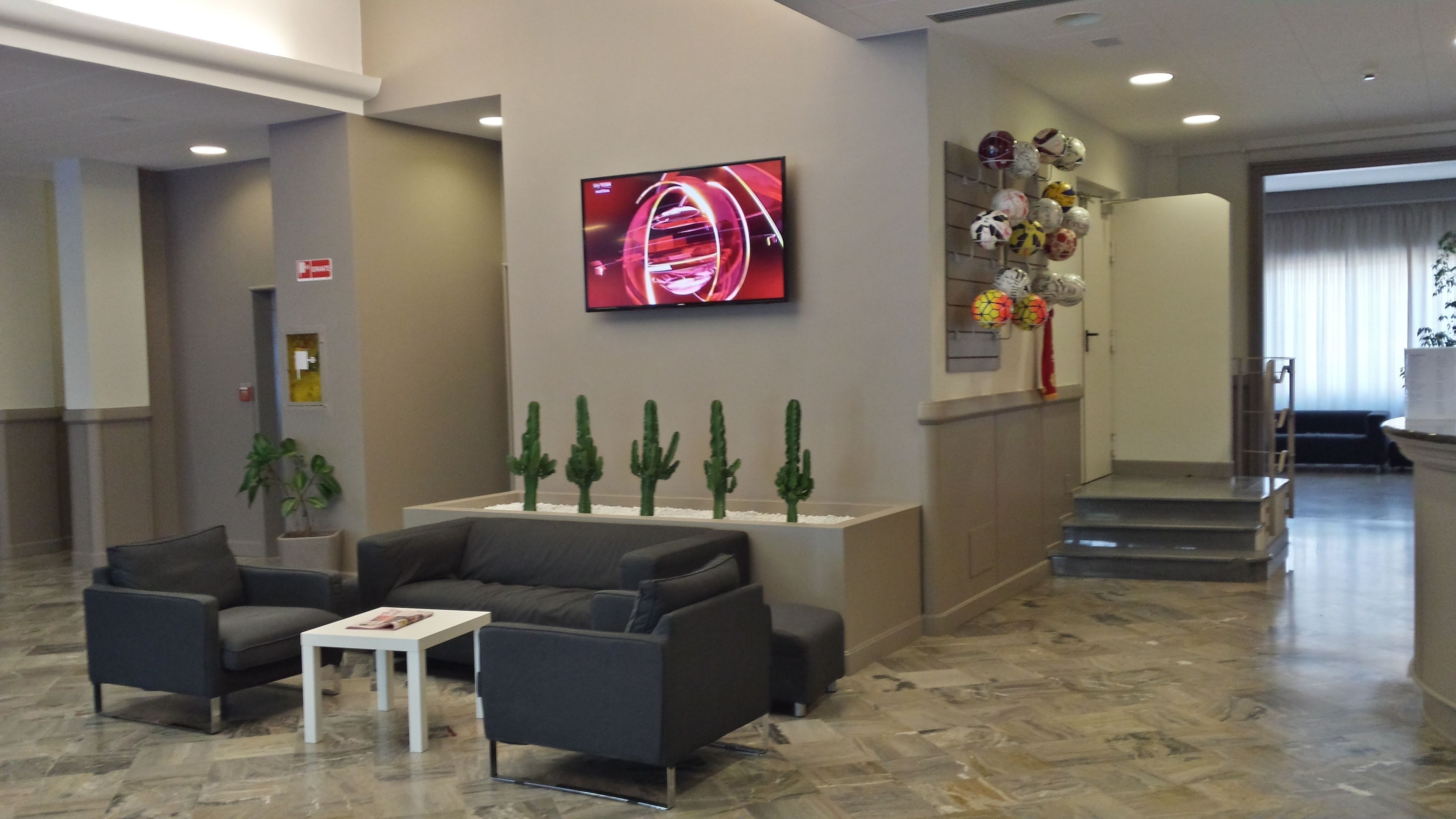 A lobby with a reception desk, a flat-screen TV, a seating area with a coffee table, and a decorative cactus arrangement.
