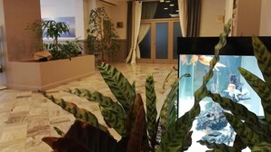 A hotel lobby with a tiled floor, potted plants, a reception desk, and a large window with curtains. - Hotel Touring Falconara Marittima (Falconara Marittima)