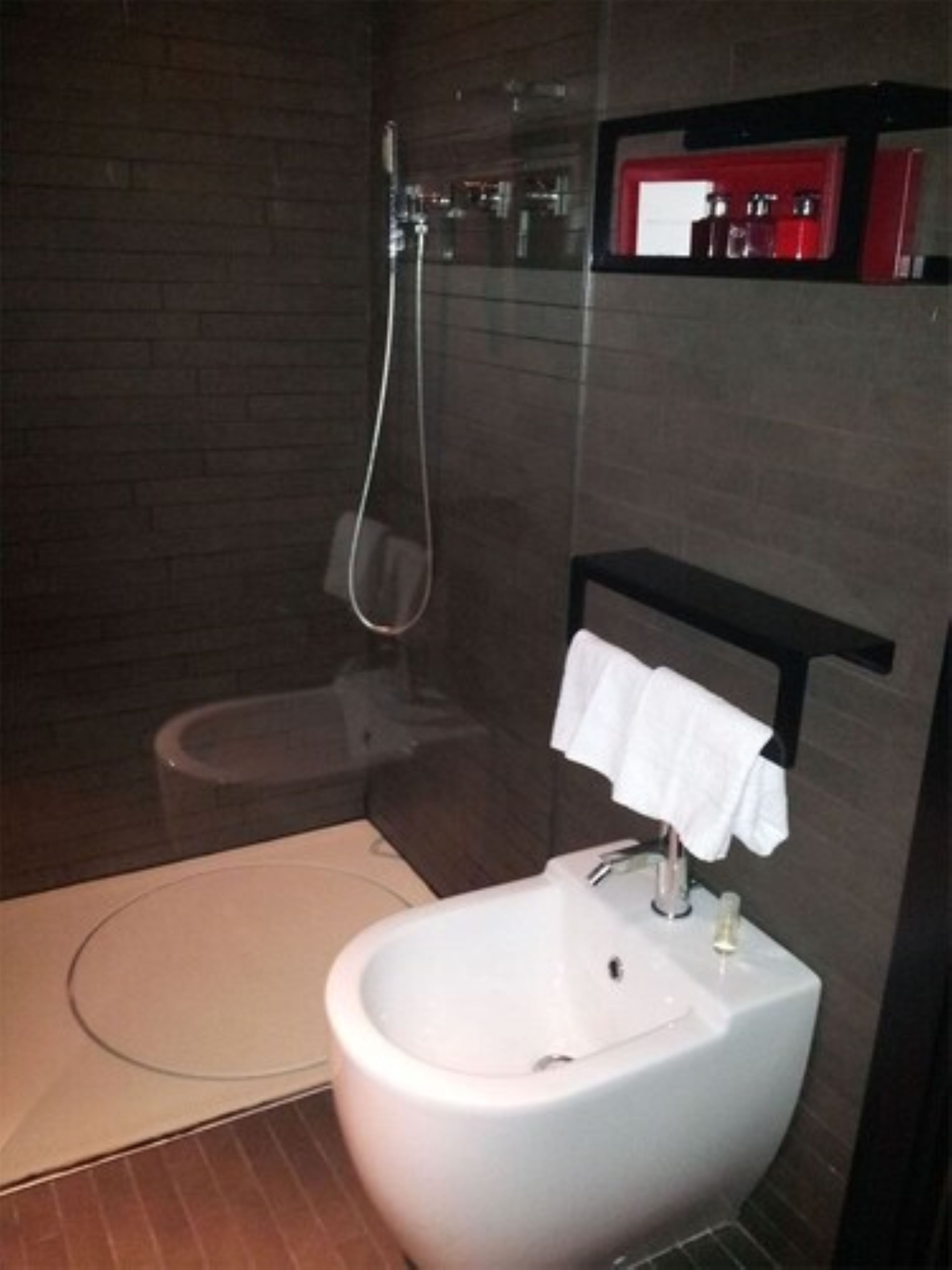 shower, hair dryer, bathrobes, slippers