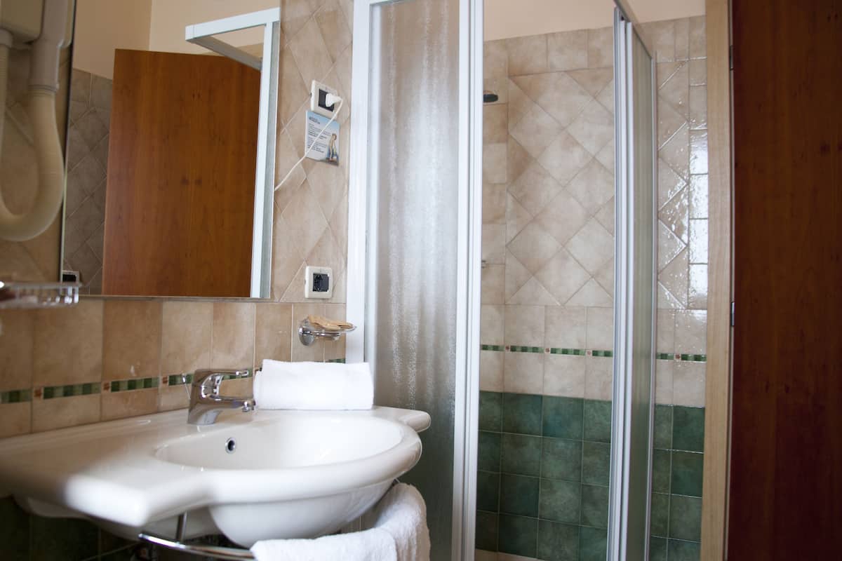 shower, free toiletries, hair dryer, bidet