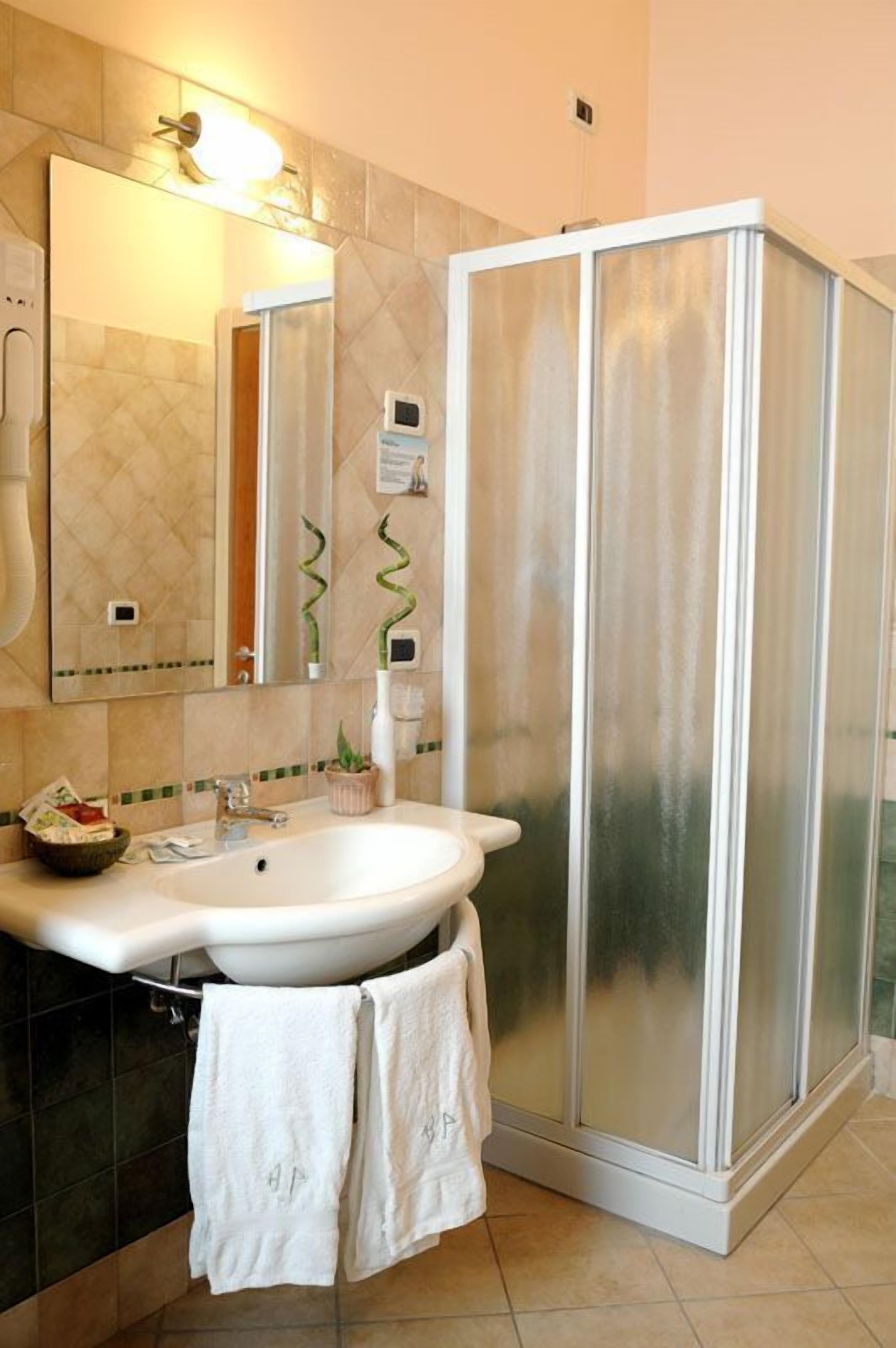 shower, free toiletries, hair dryer, bidet