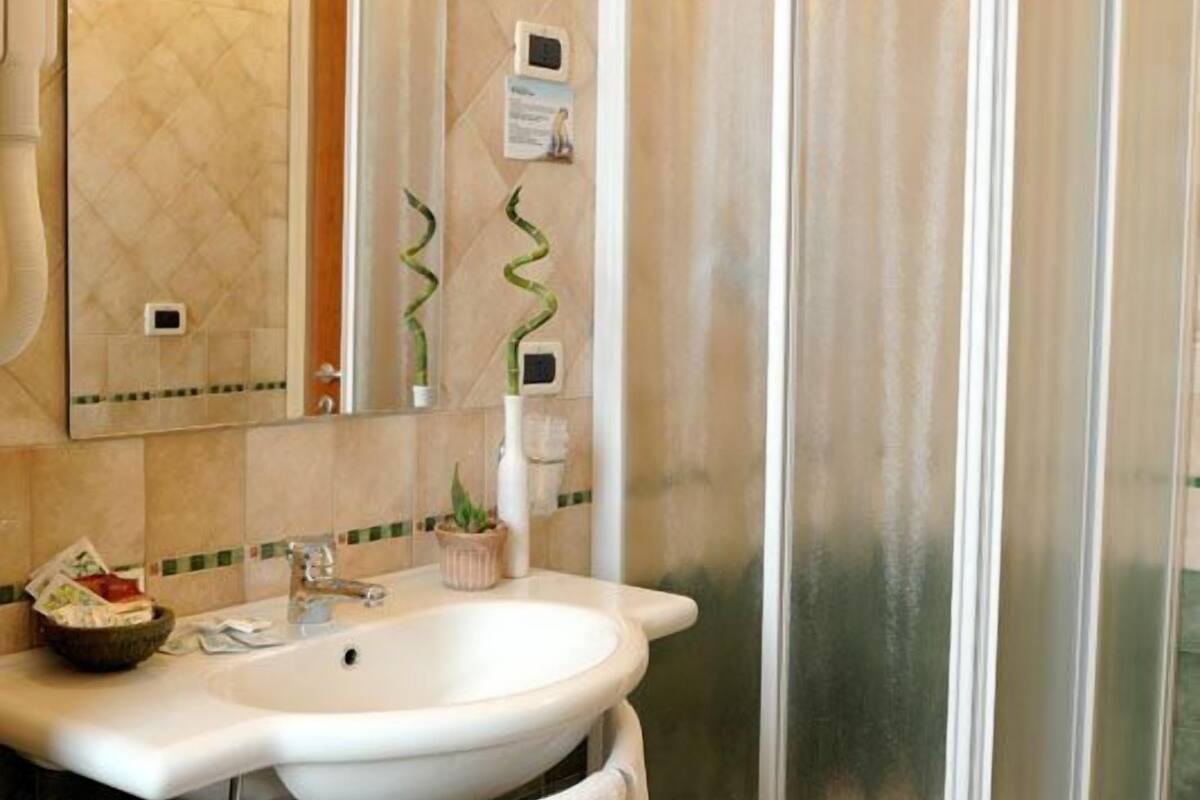 shower, free toiletries, hair dryer, bidet