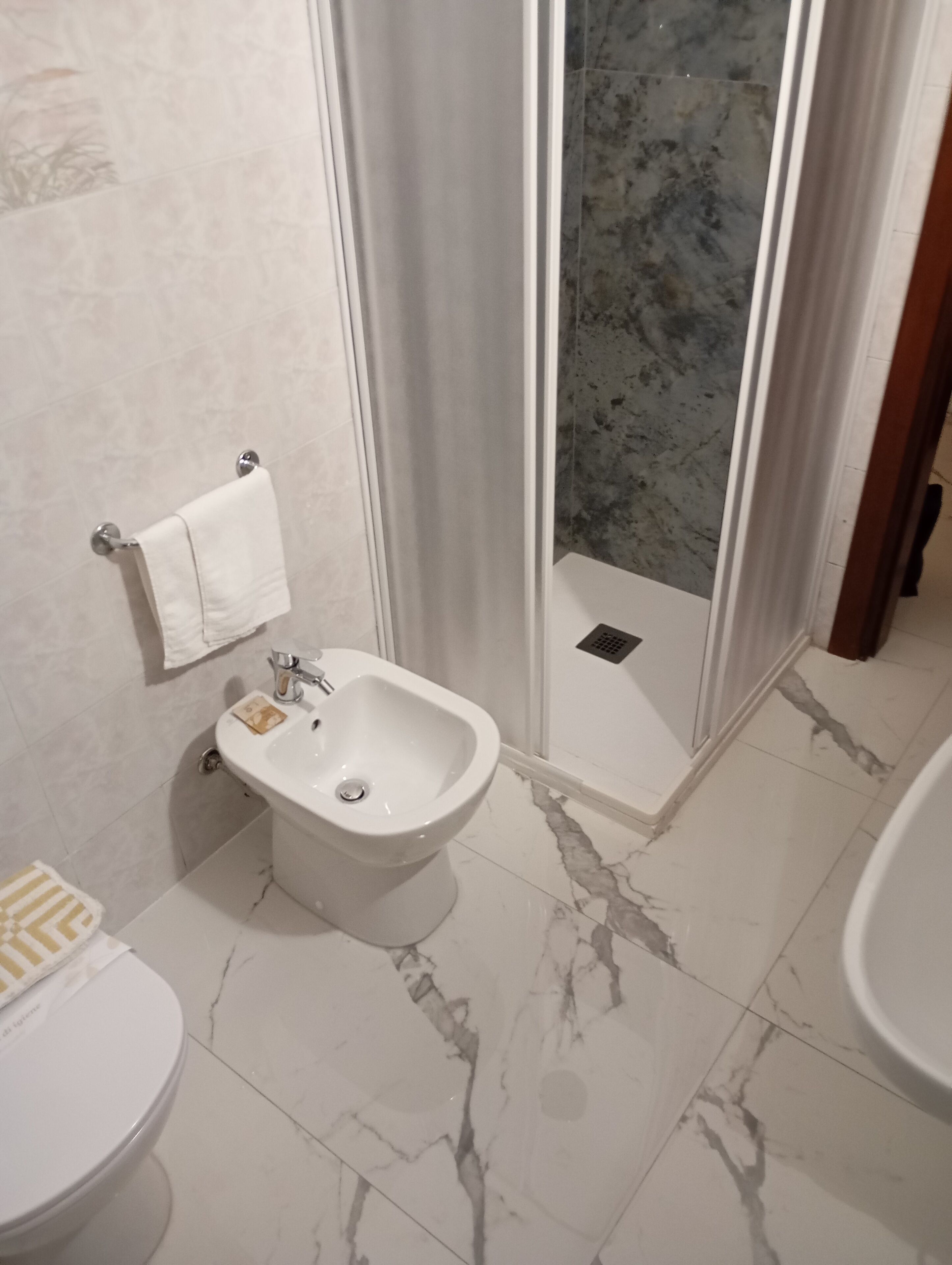 A bathroom with a bidet, a toilet, and a shower area with a glass door.
