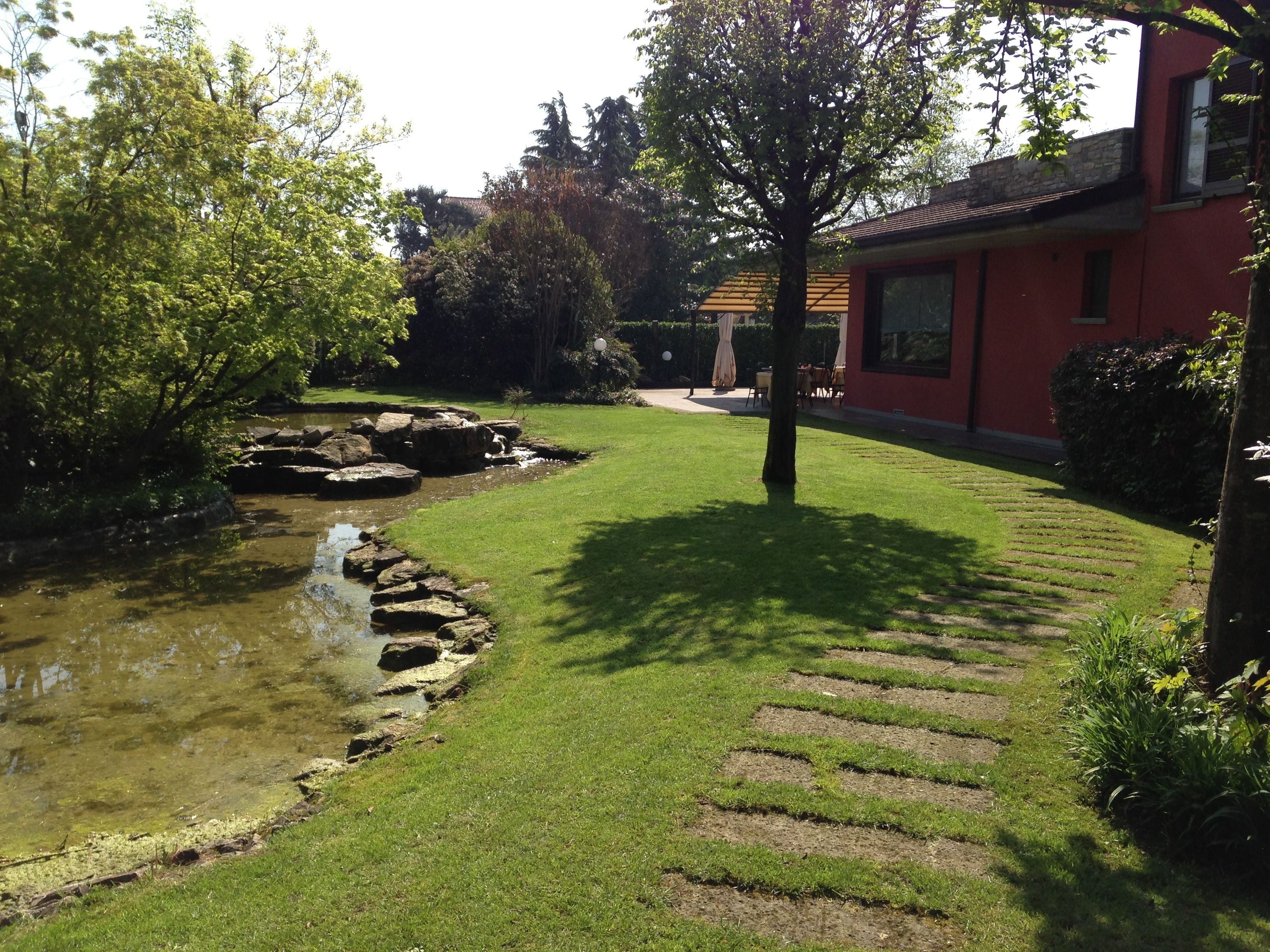 Foto - Il Leone D'Oro