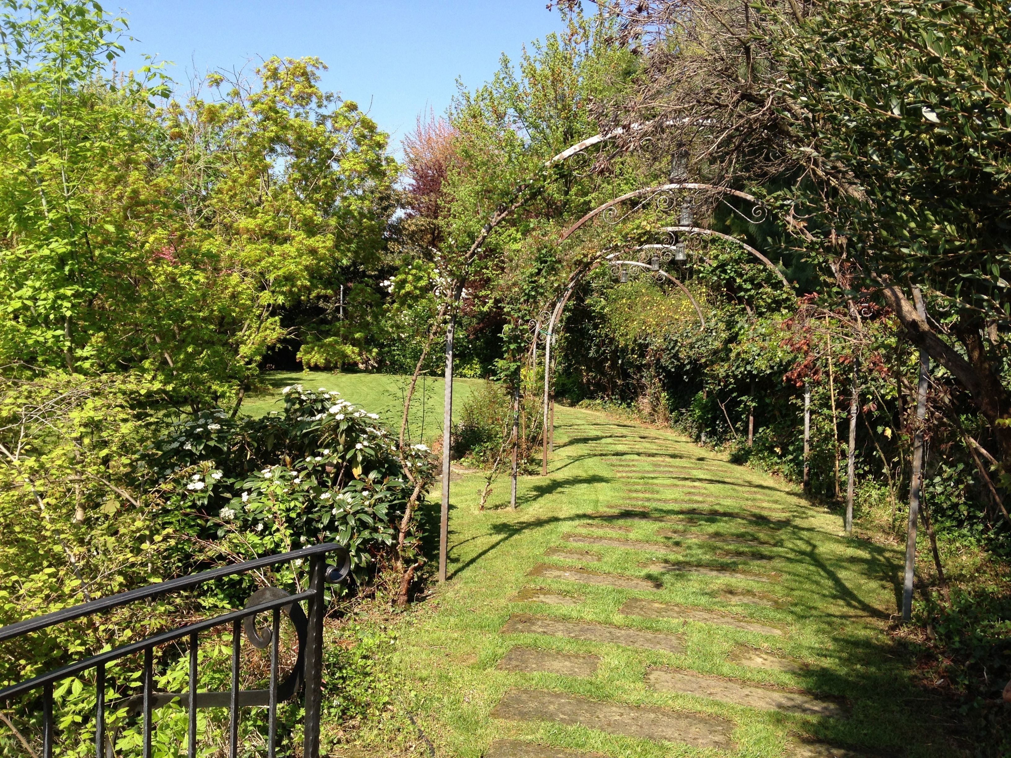 Foto - Il Leone D'Oro