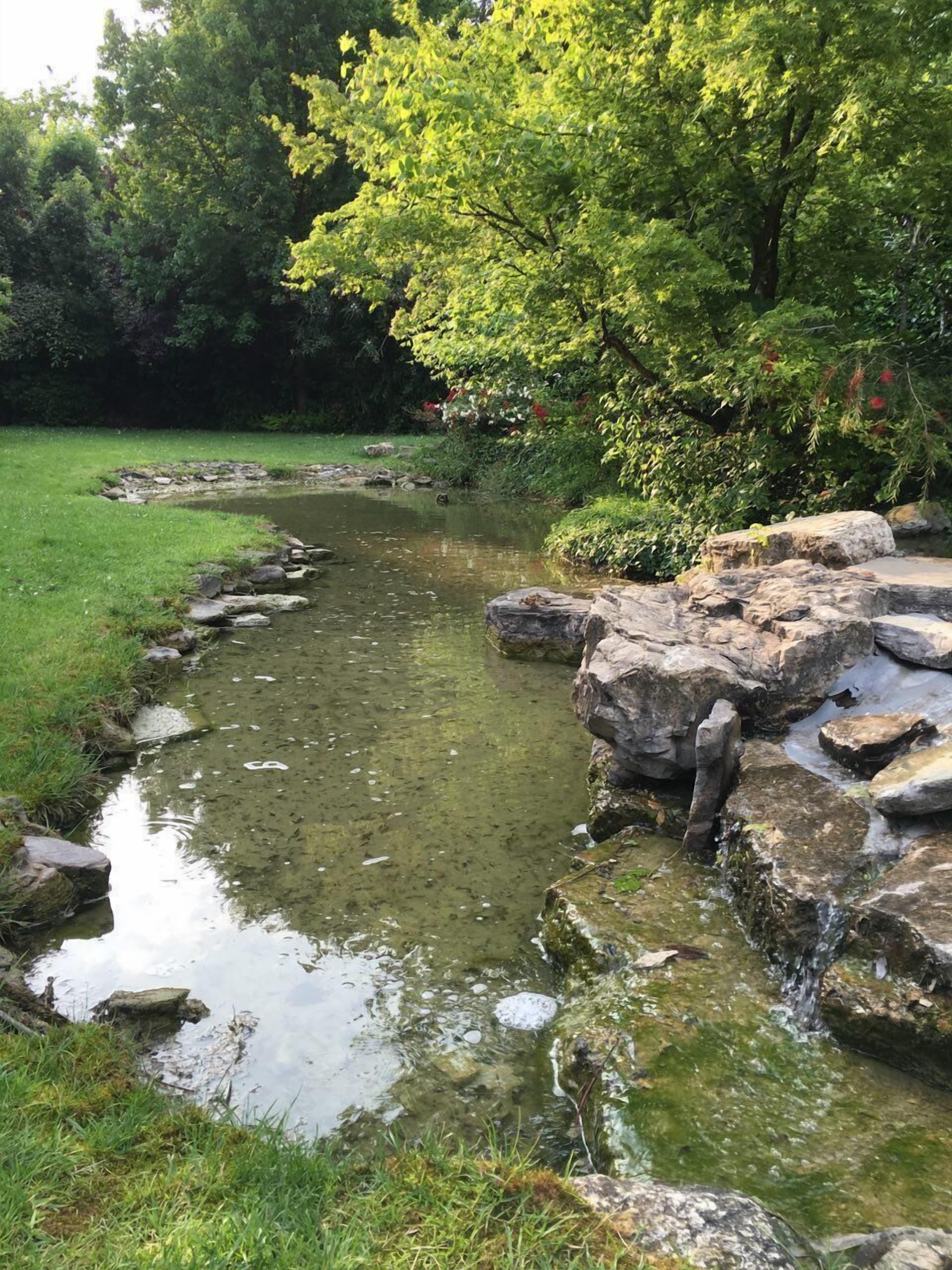 Foto - Il Leone D'Oro