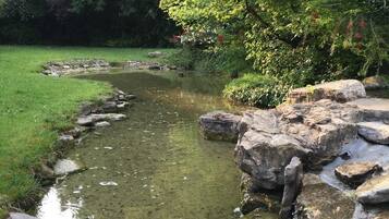 A natural outdoor setting with a small stream, rocks, and lush greenery.
