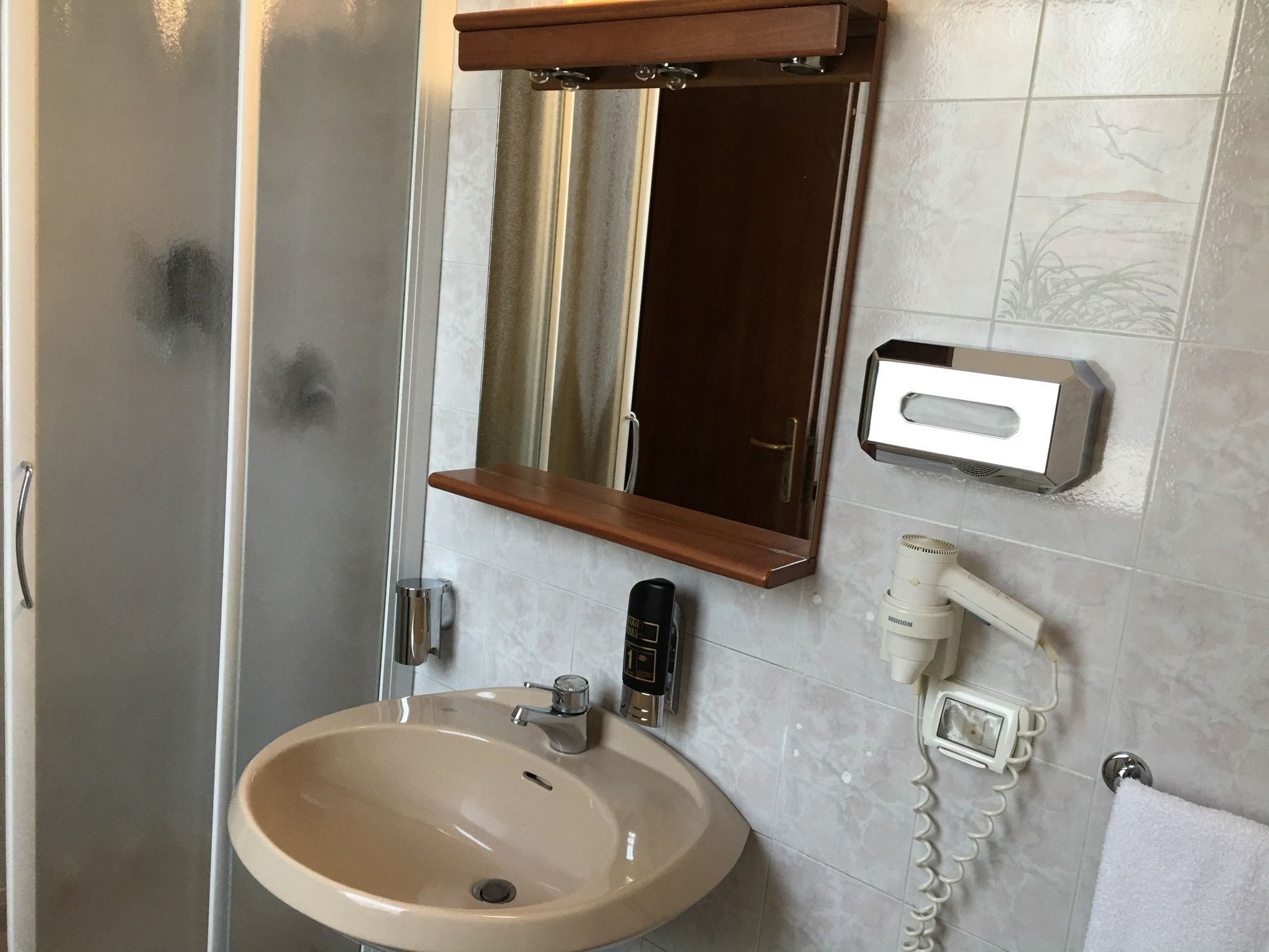 Foto - Il Leone D'Oro