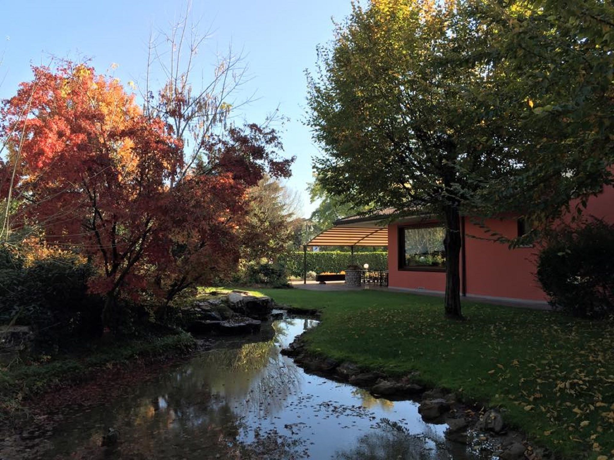 Foto - Il Leone D'Oro