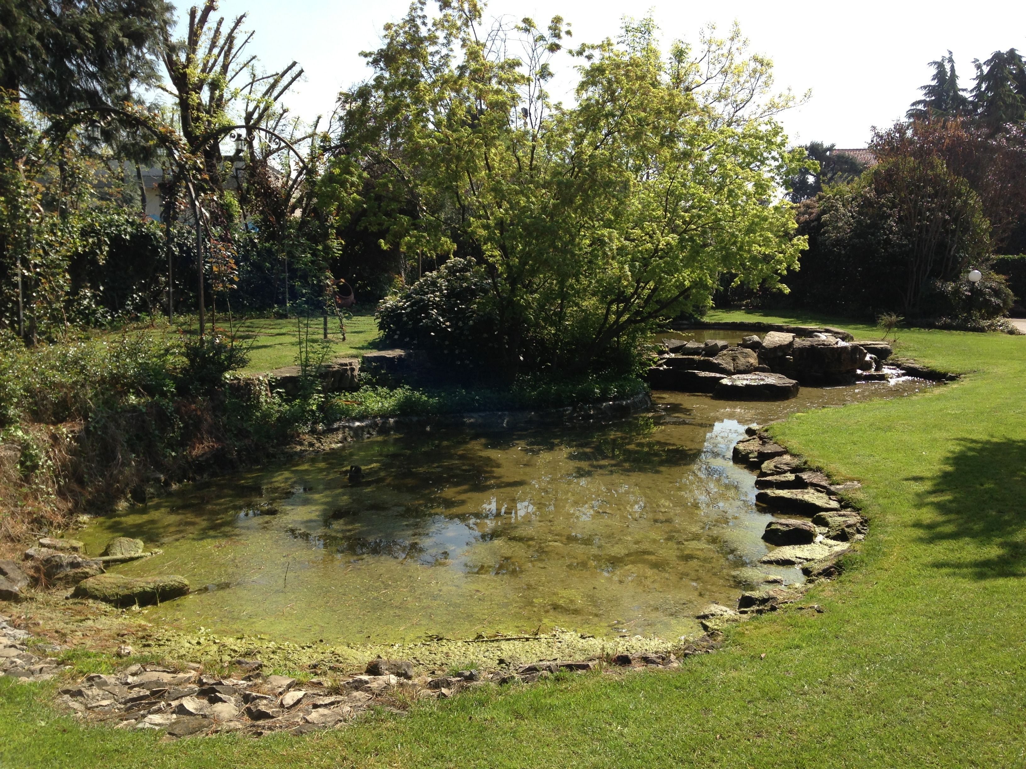 Foto - Il Leone D'Oro