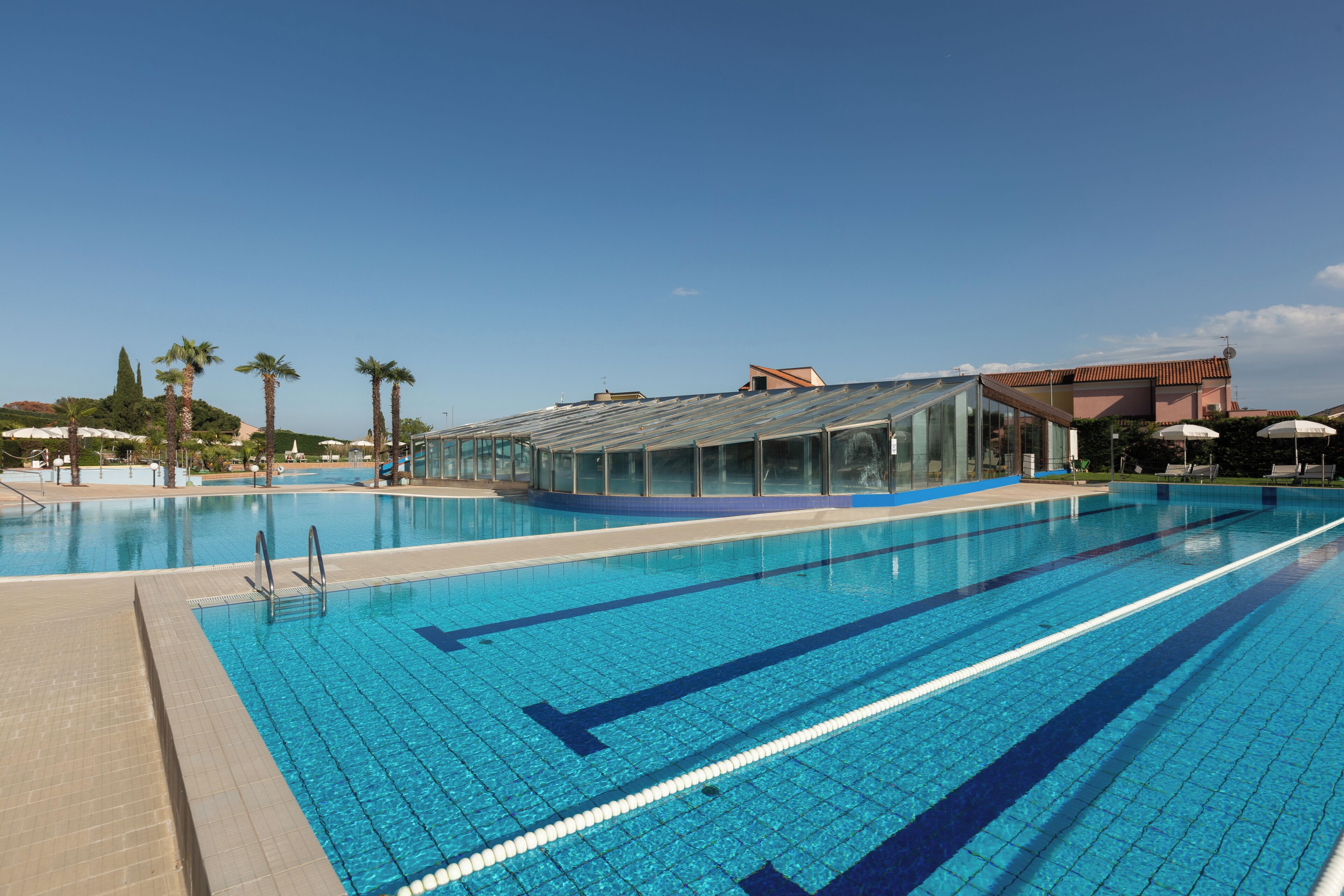 A large outdoor swimming pool with clear blue water, surrounded by palm trees and a glass-roofed building.