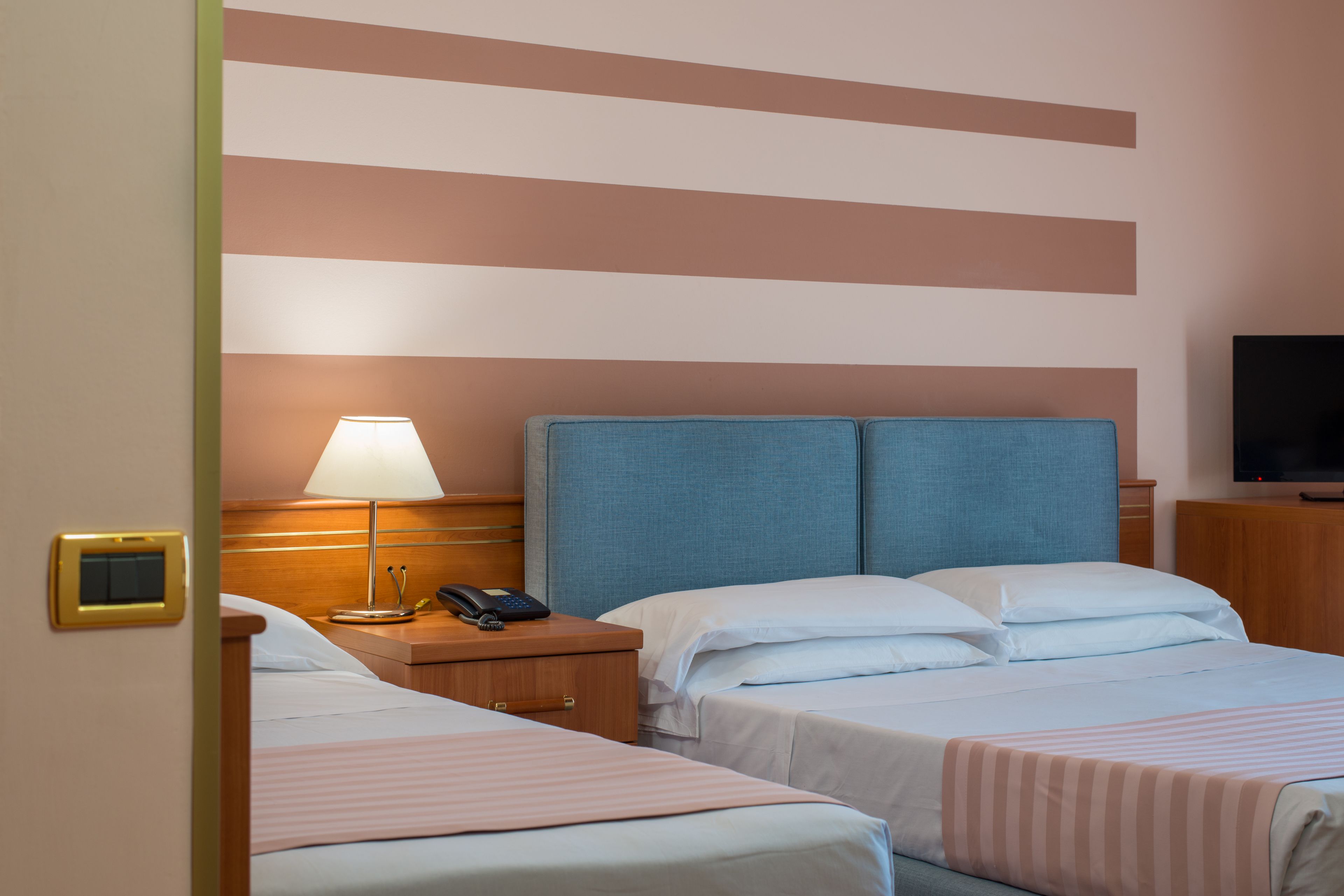 Habitación de hotel con dos camas, una mesita de noche con lámpara, un televisor y un cabecero de madera.