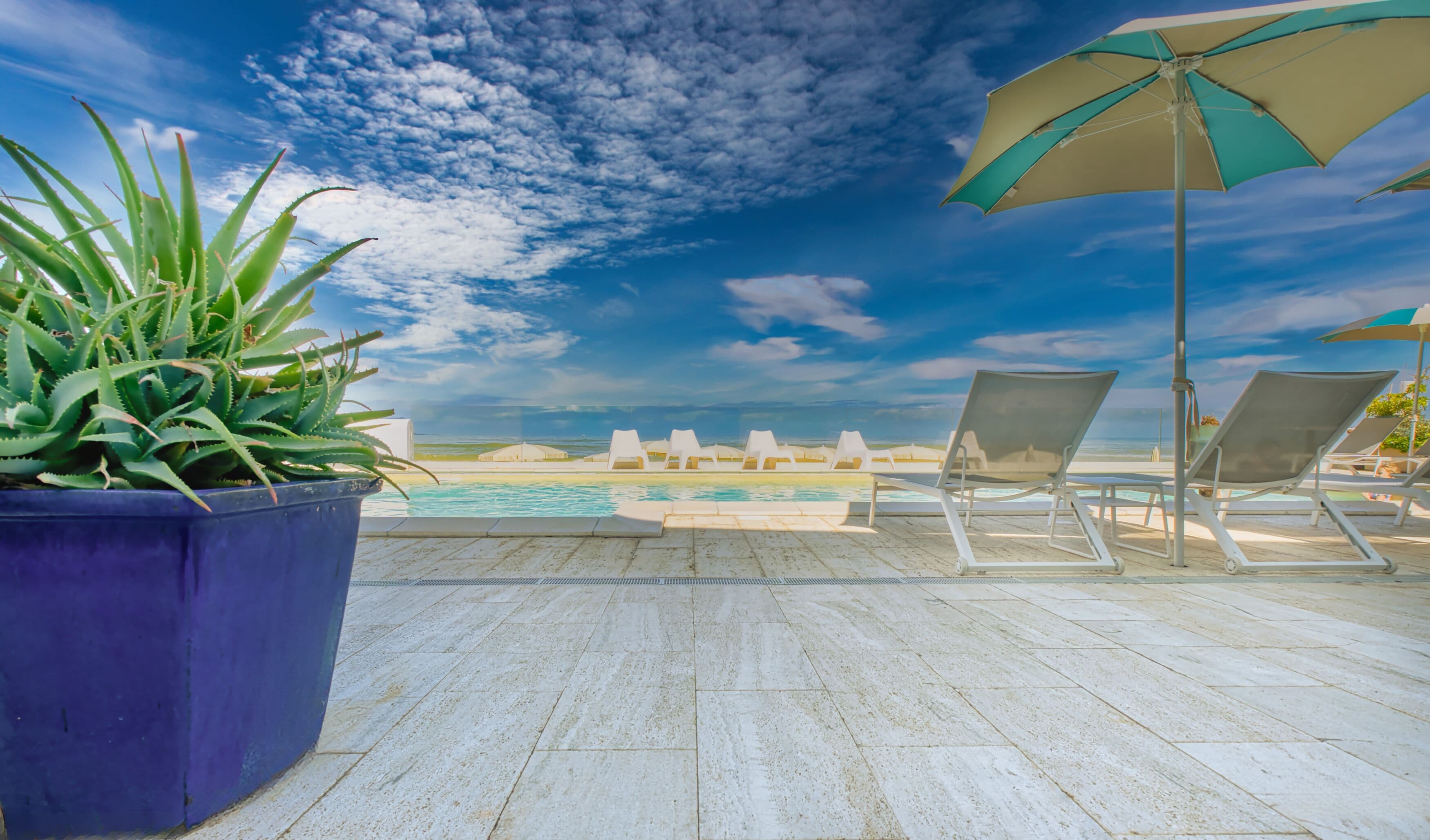 Un espace aménagé au bord de la piscine, avec des chaises longues et une grande plante en pot.