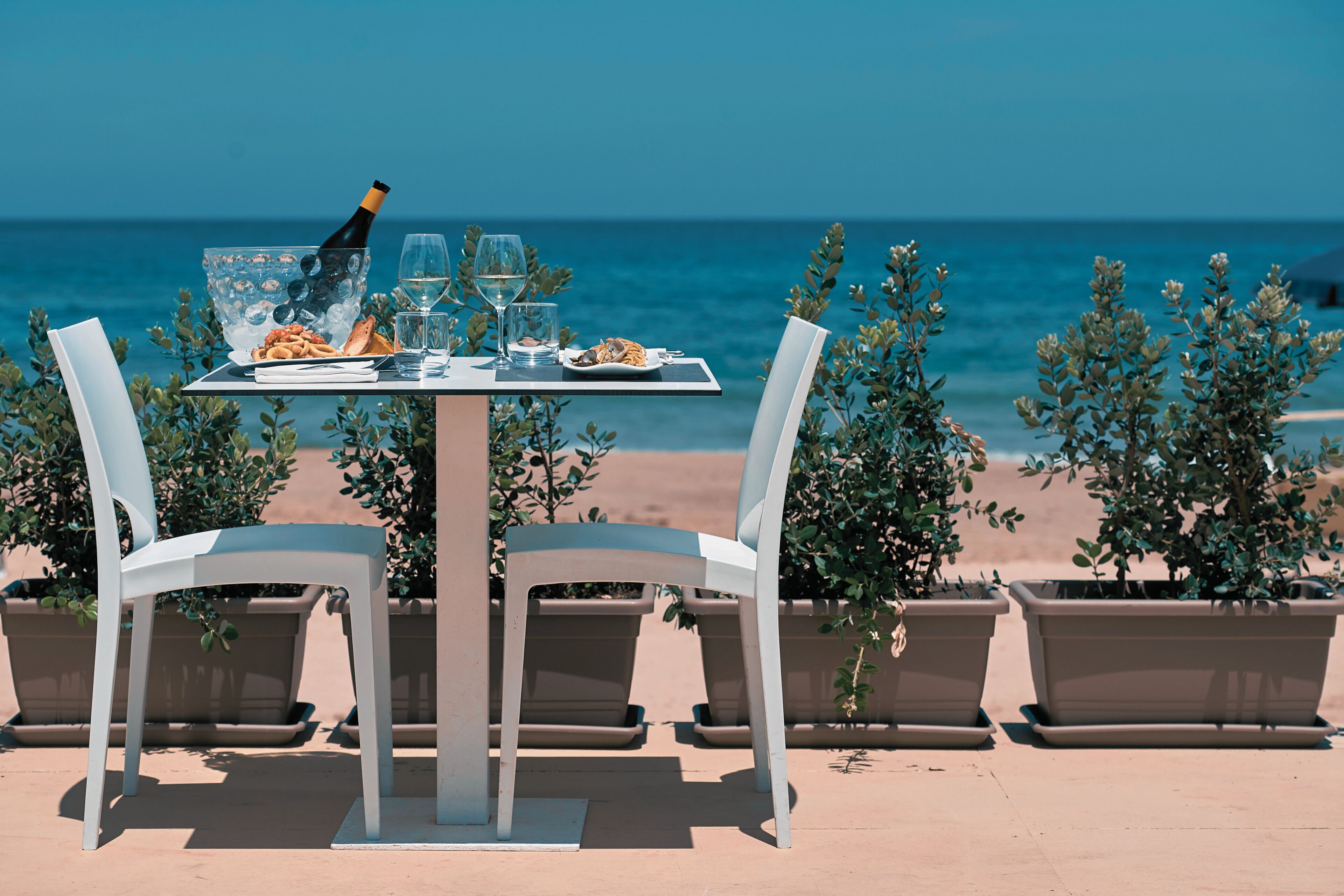 lunch and dinner served, italian cuisine