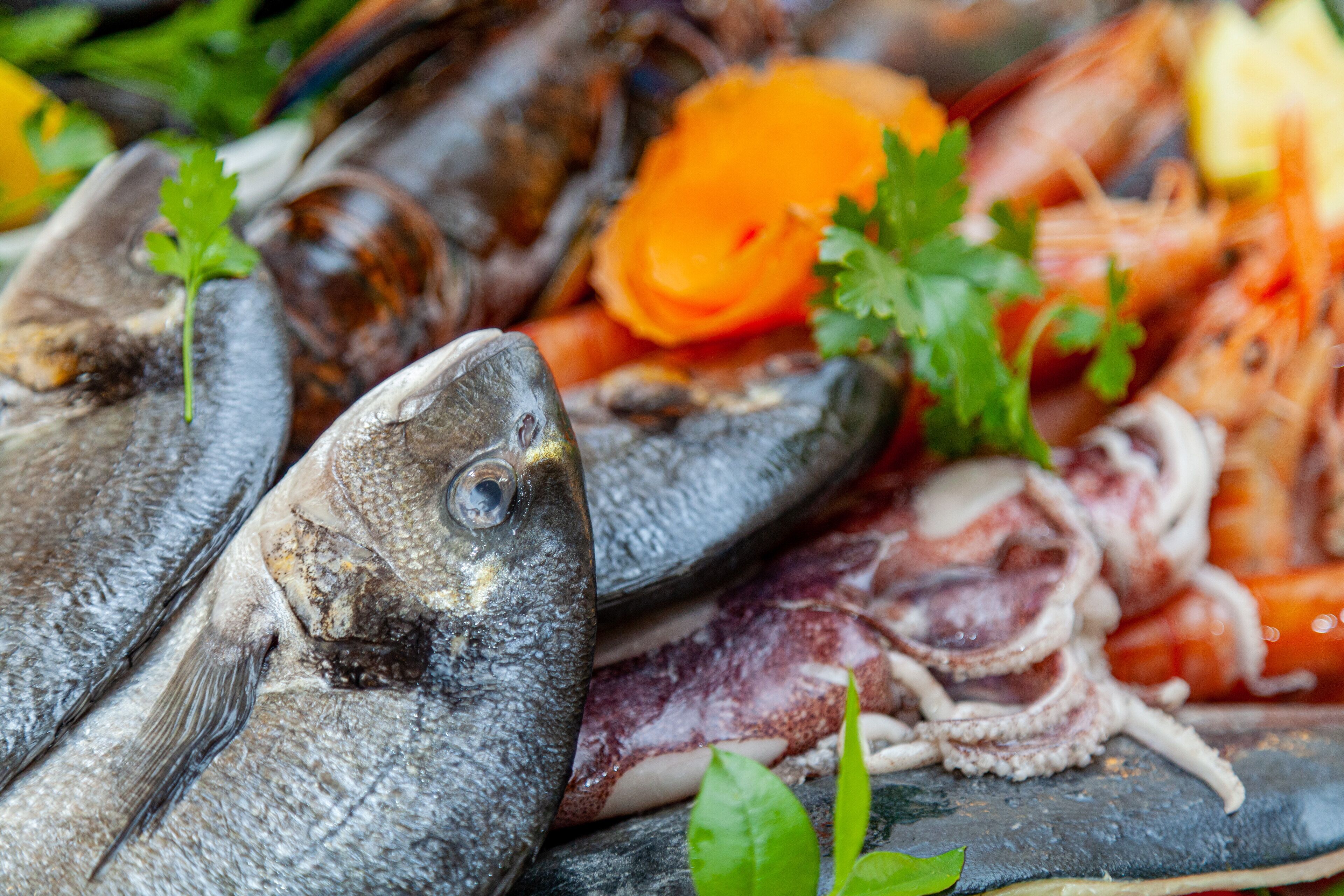 A variety of seafood including fish, shrimp, and squid, with some garnishes like parsley.