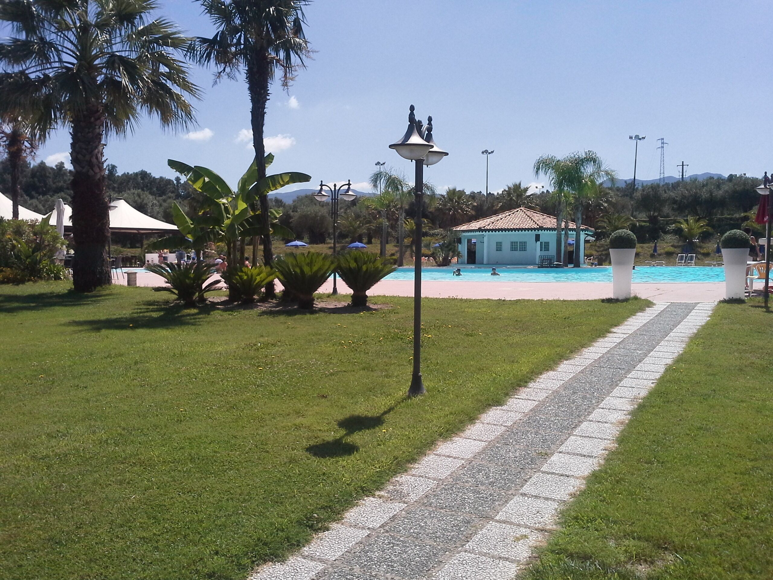 Un camino que lleva a un área de piscina con palmeras y un edificio al fondo.