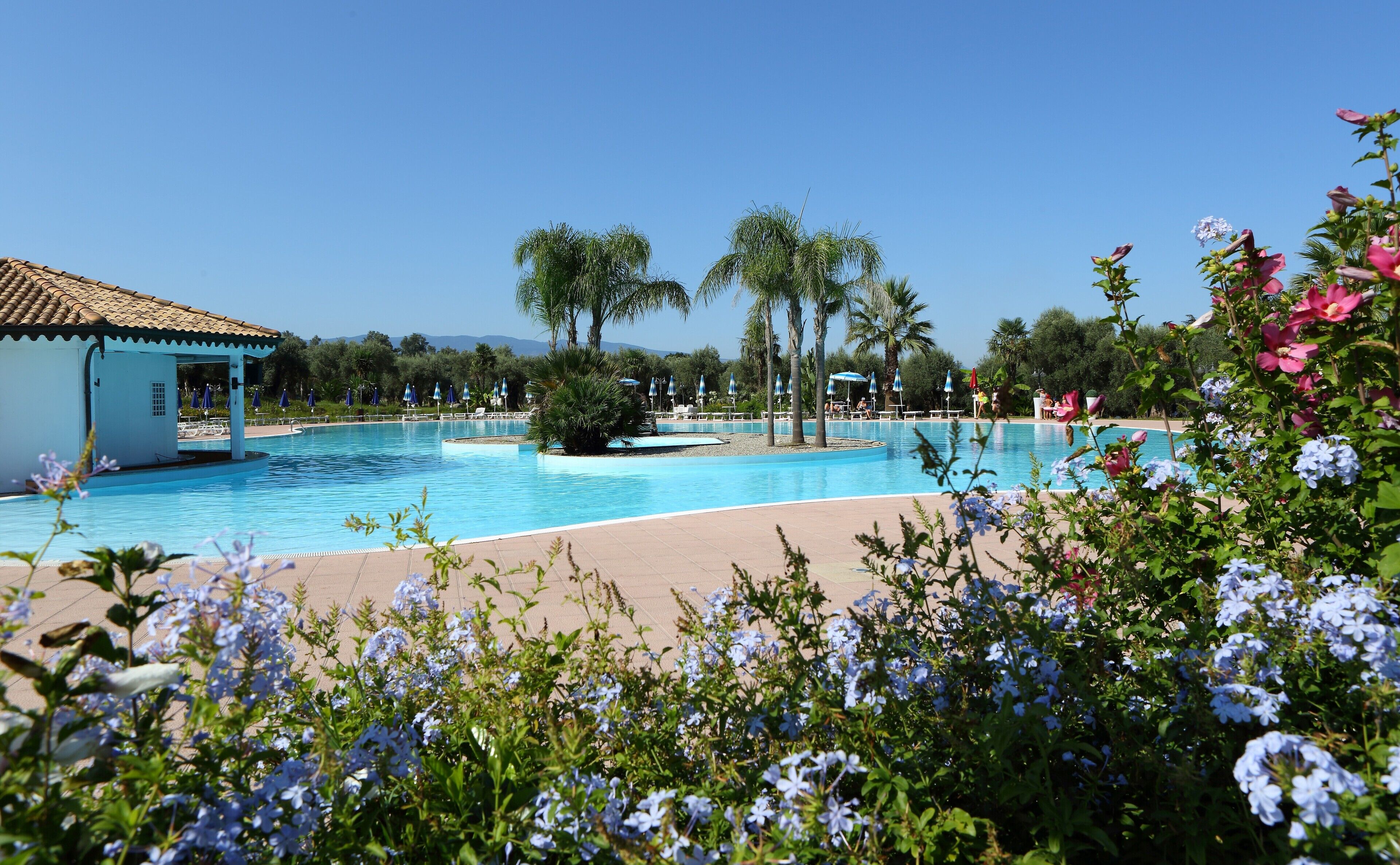 seasonal outdoor pool, pool umbrellas, pool loungers