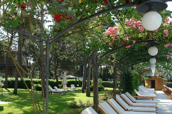 Seasonal outdoor pool, pool umbrellas, sun loungers