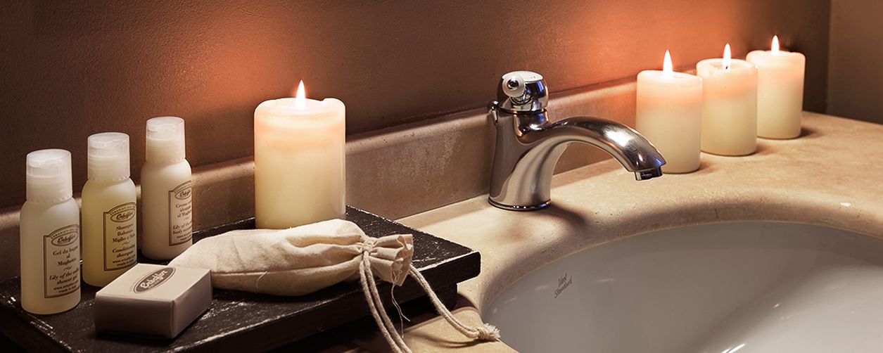 combined shower/bathtub, hair dryer, bidet