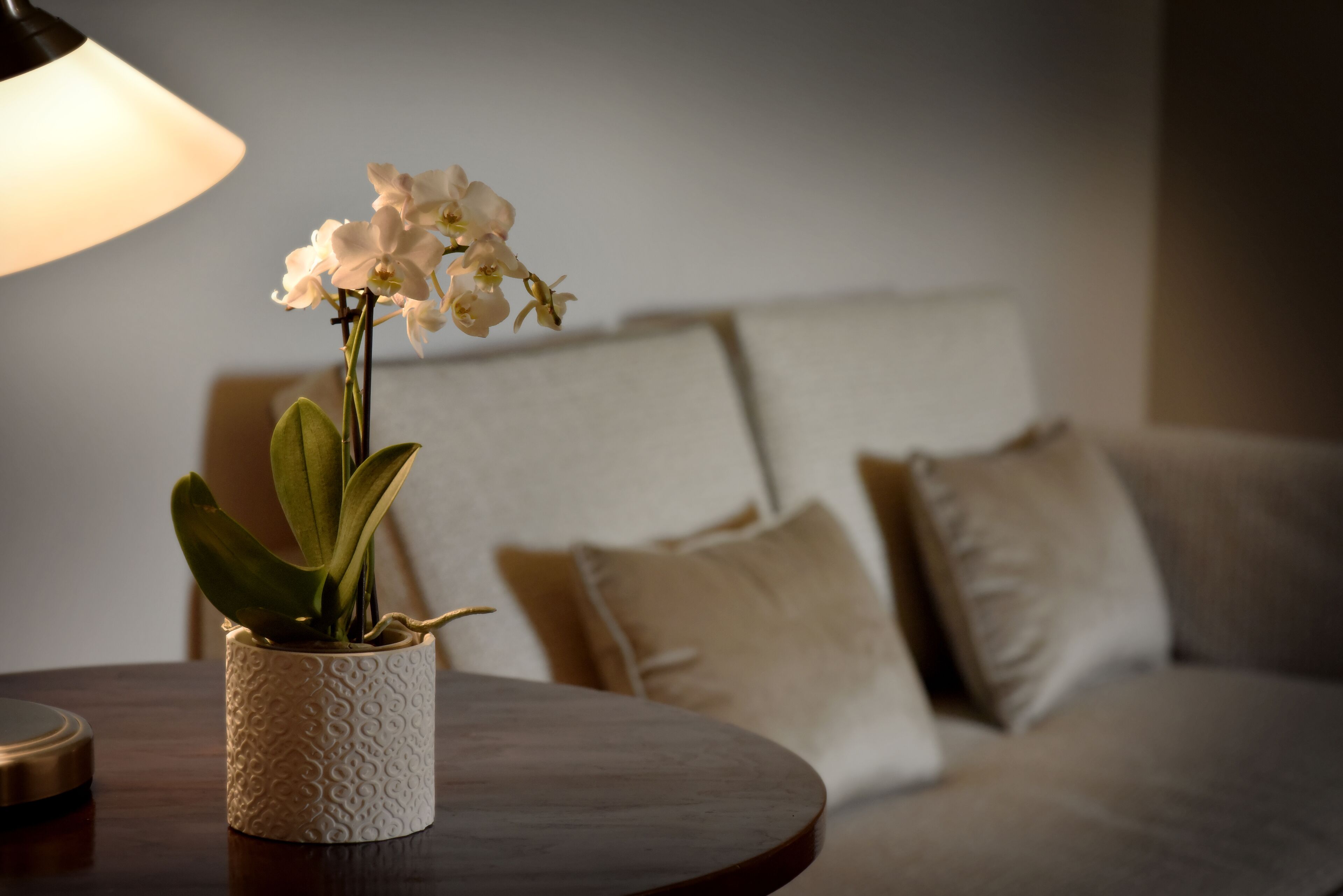 deluxe double room | living area | 27-inch lcd tv with digital channels, tv