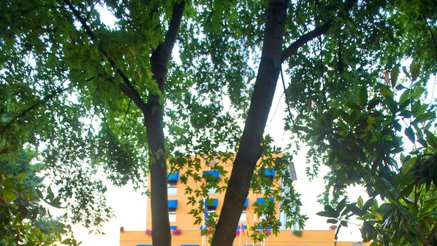 Une cour intérieure agrémentée d’un élément aquatique, d’arbres et, au fond, d’un bâtiment d’hôtel.