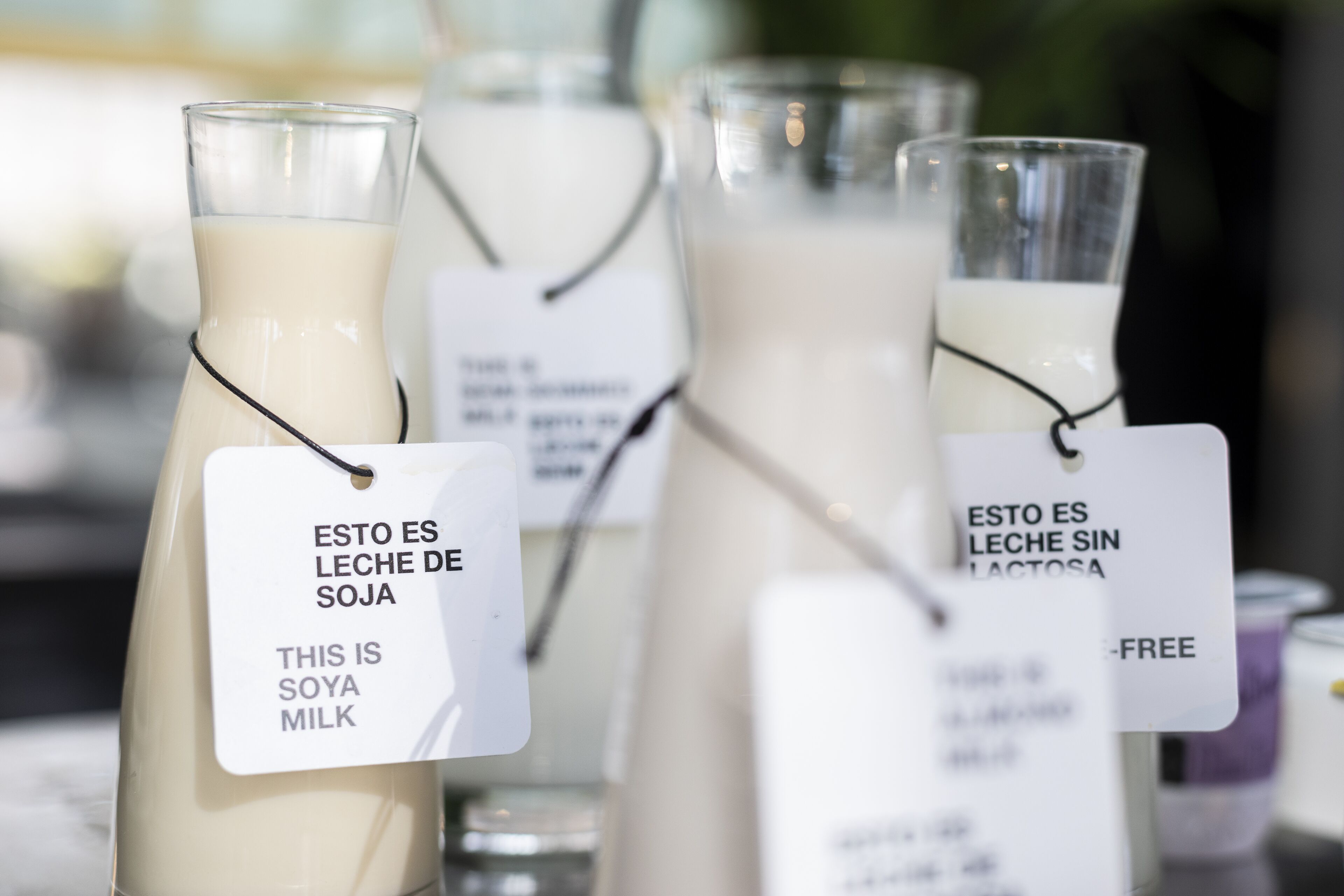 daily buffet breakfast (eur 16 per person)