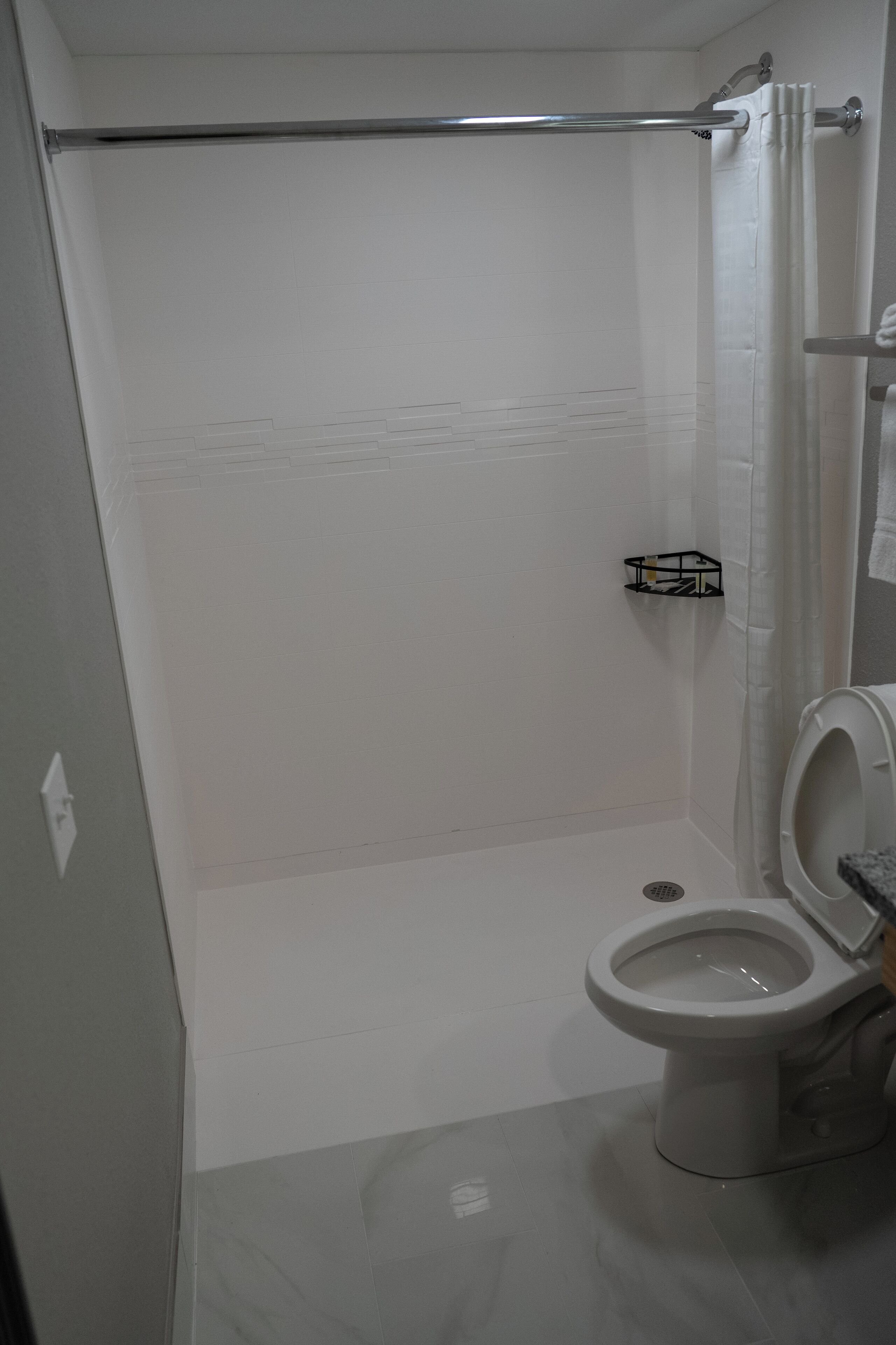 Une salle de bain avec une douche, des toilettes et une petite étagère.